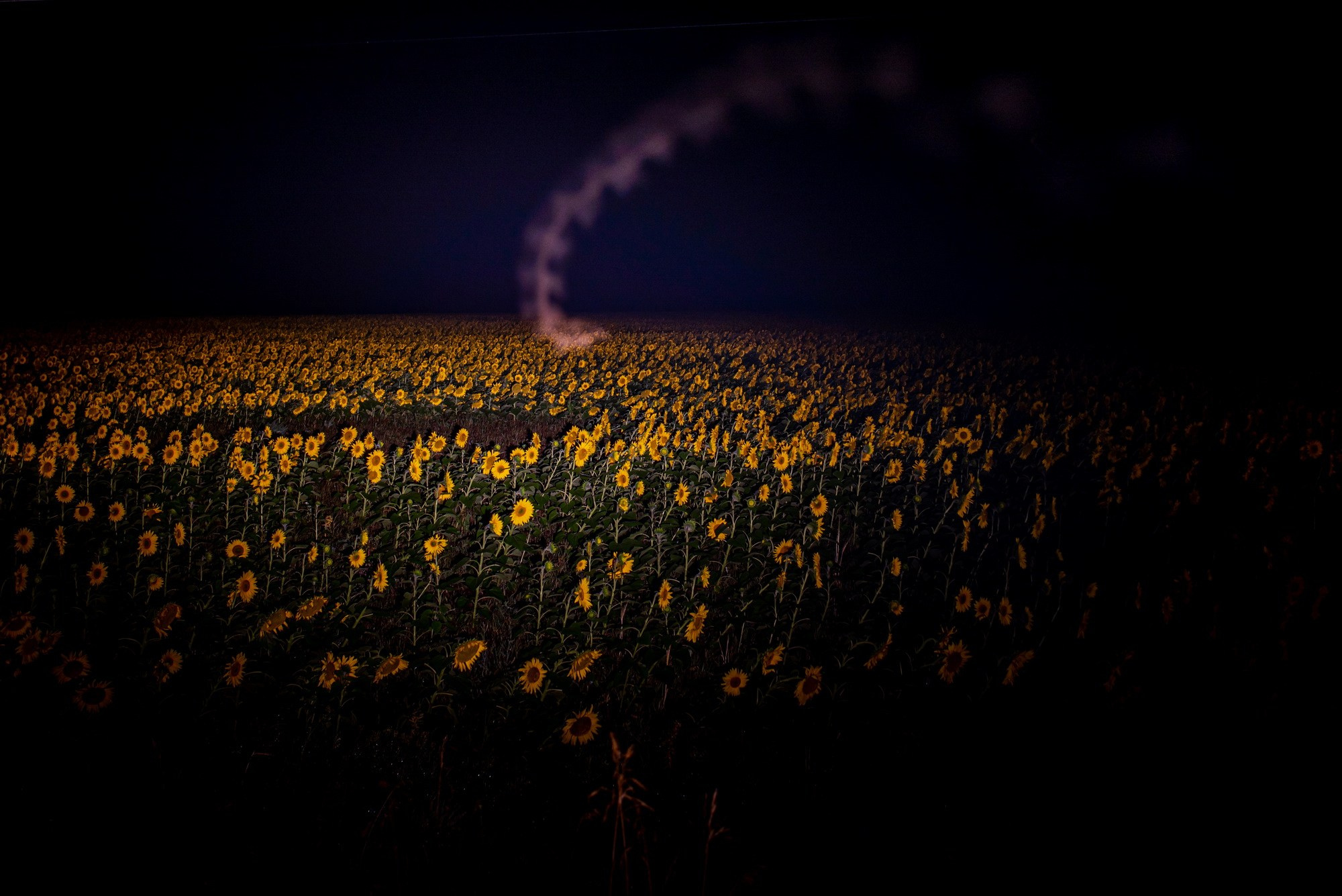 Синдром предков. Наталия Шульгина — визуальный художник, фотограф