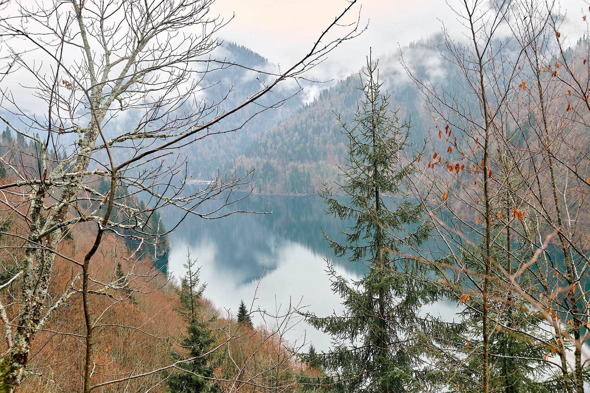 Озеро Рица, Абхазия. Декабрь 2024. Фотографии отовсюду и обо всем