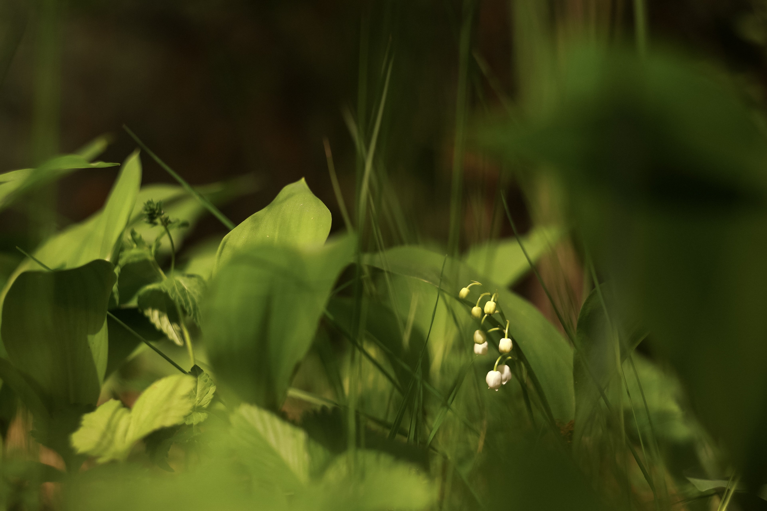 Магия обыкновенного. Фотограф-документалист и фототерапевт Настя Китаева. Город Москва