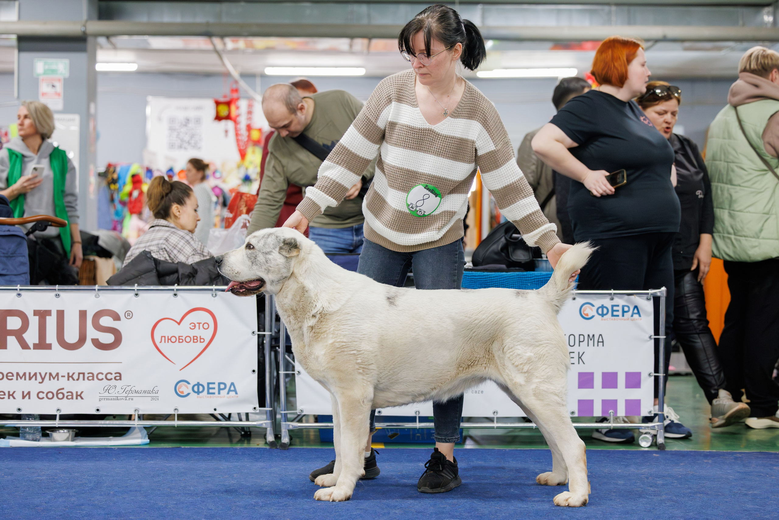 Сфера и Крокус 8,9,16 и 30.03.2025. Фотограф-анималист Юлия Германика