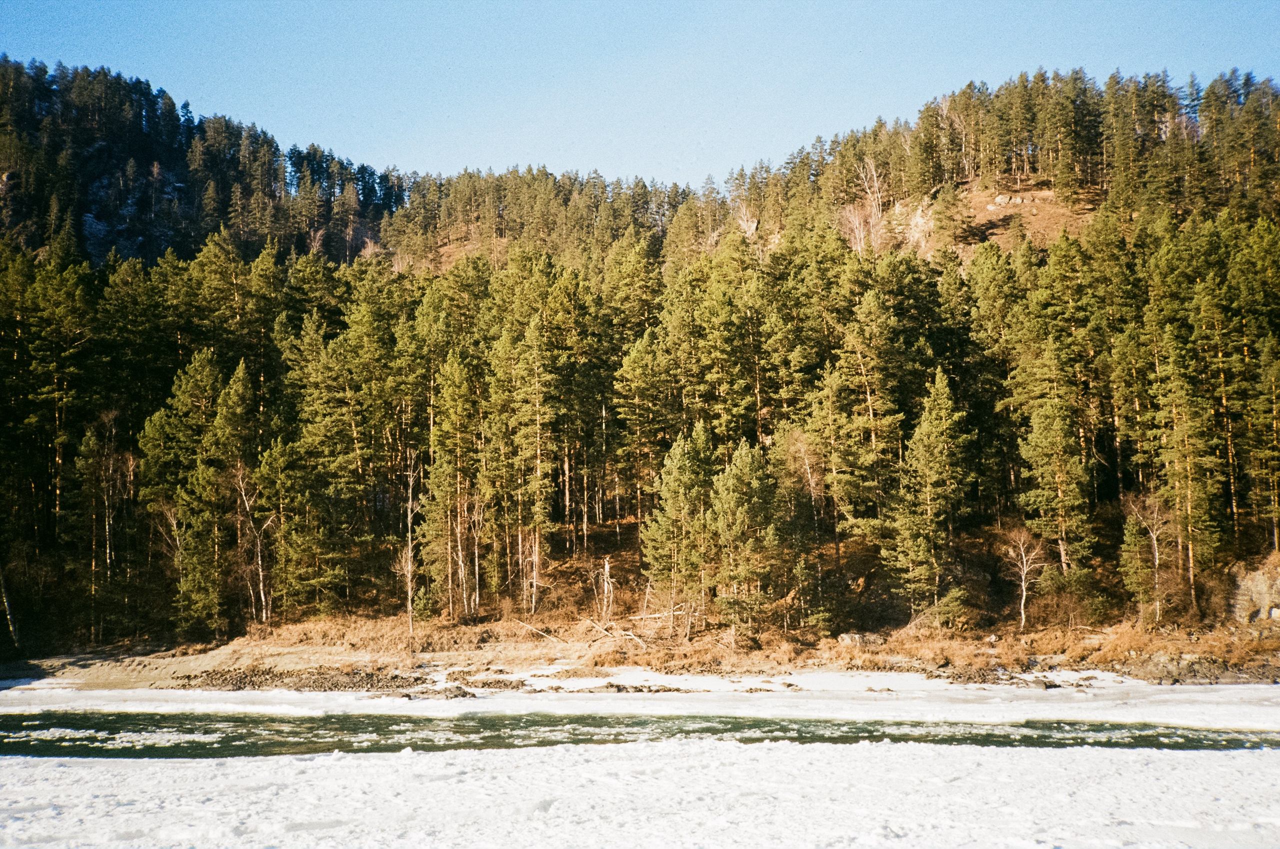 Olympus Mju II VS Chinon Auto 3001 — стоит ли переплачивать?!