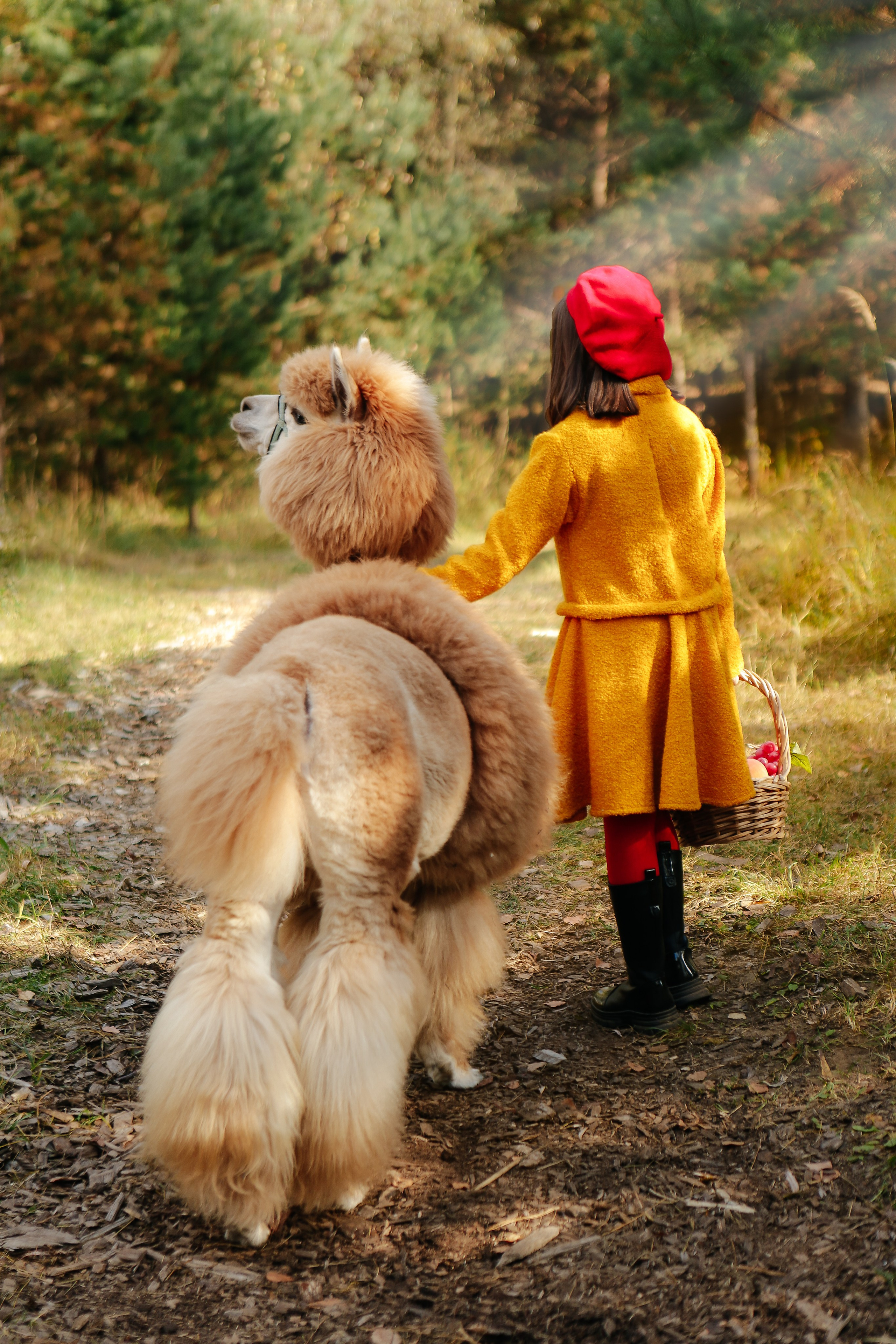 Альпаки. Семейный и детский фотограф в Москве Александра Мак