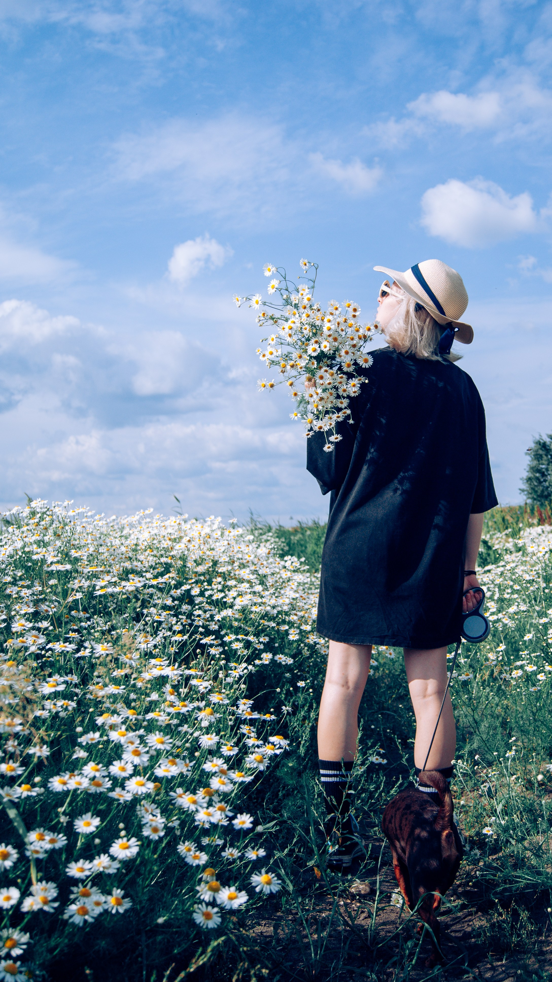 Индивидуальная фотосессия в ромашковом поле. Семейный фотограф в Миассе Ольга Широковская
