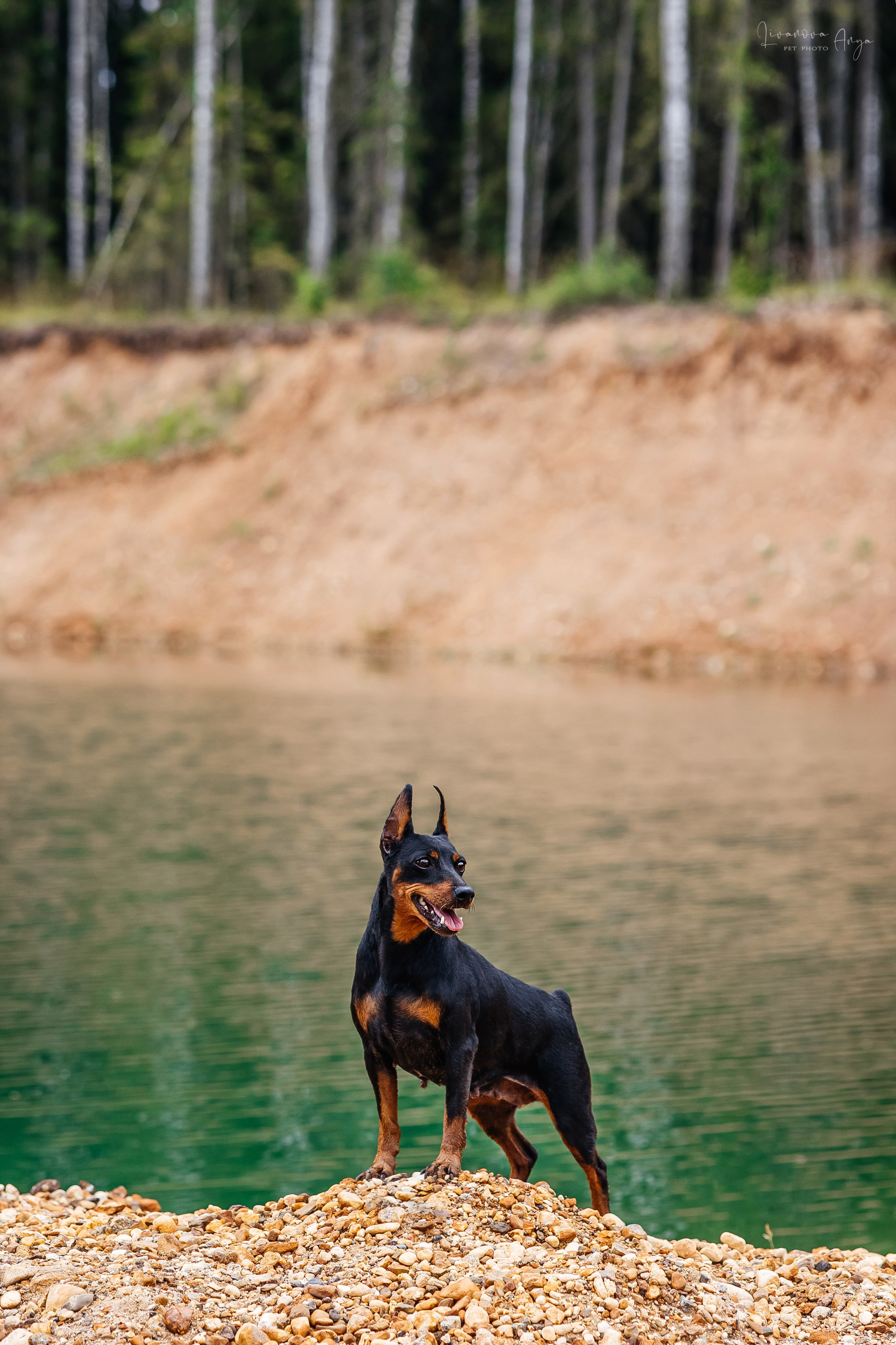 Троицкий карьер. Фотограф анималист Аня Ливанова | Рыбинск