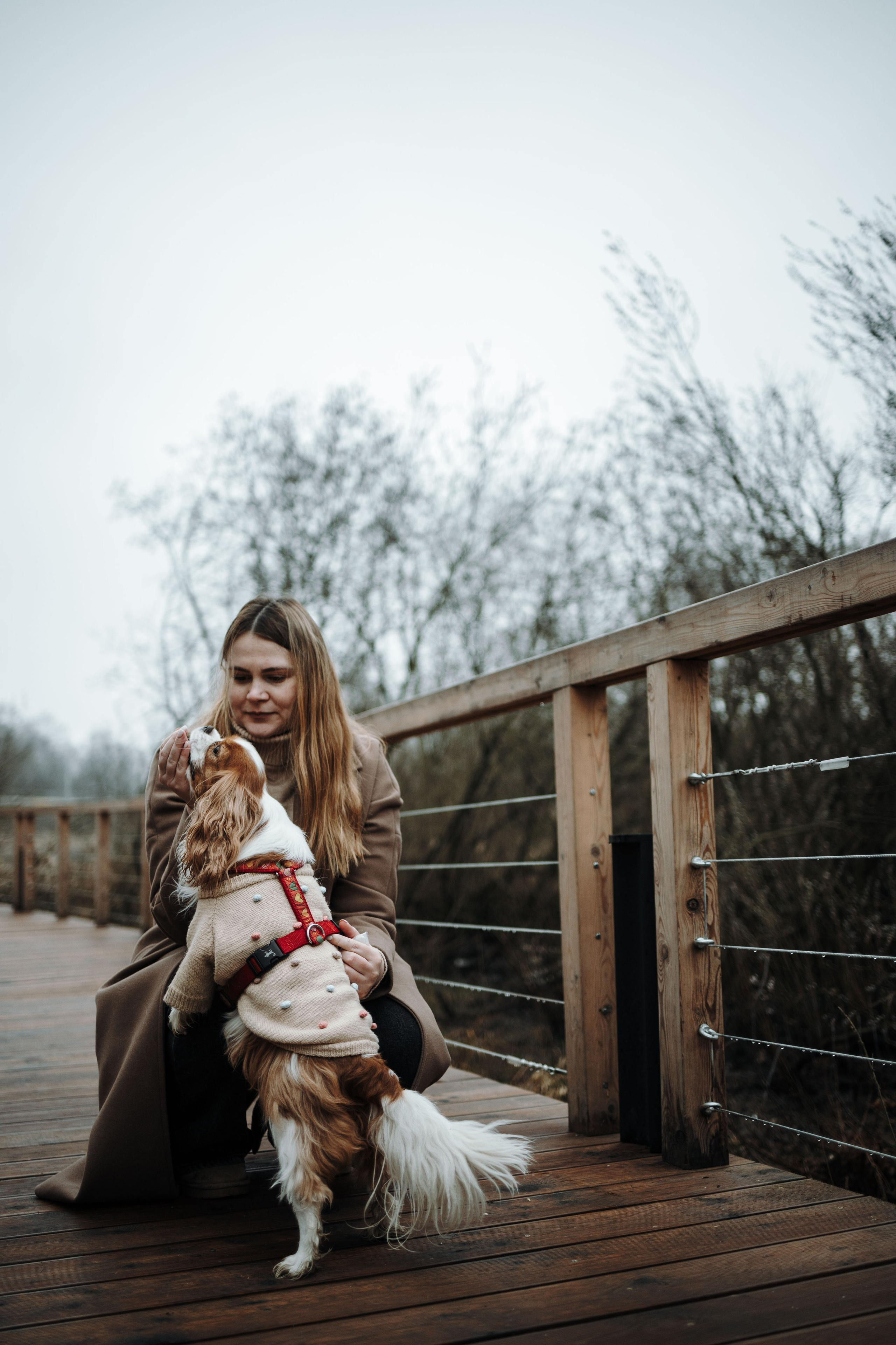 Любовь и Альтаир