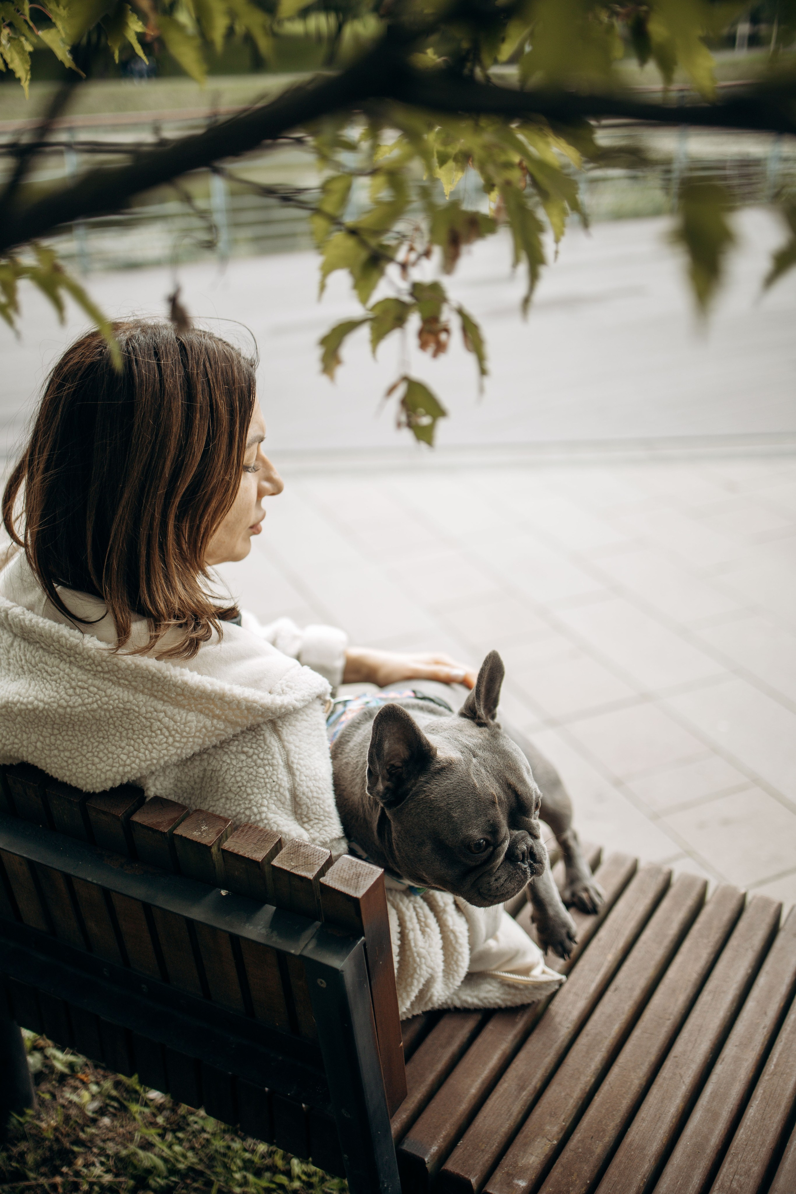 Грей и его семья