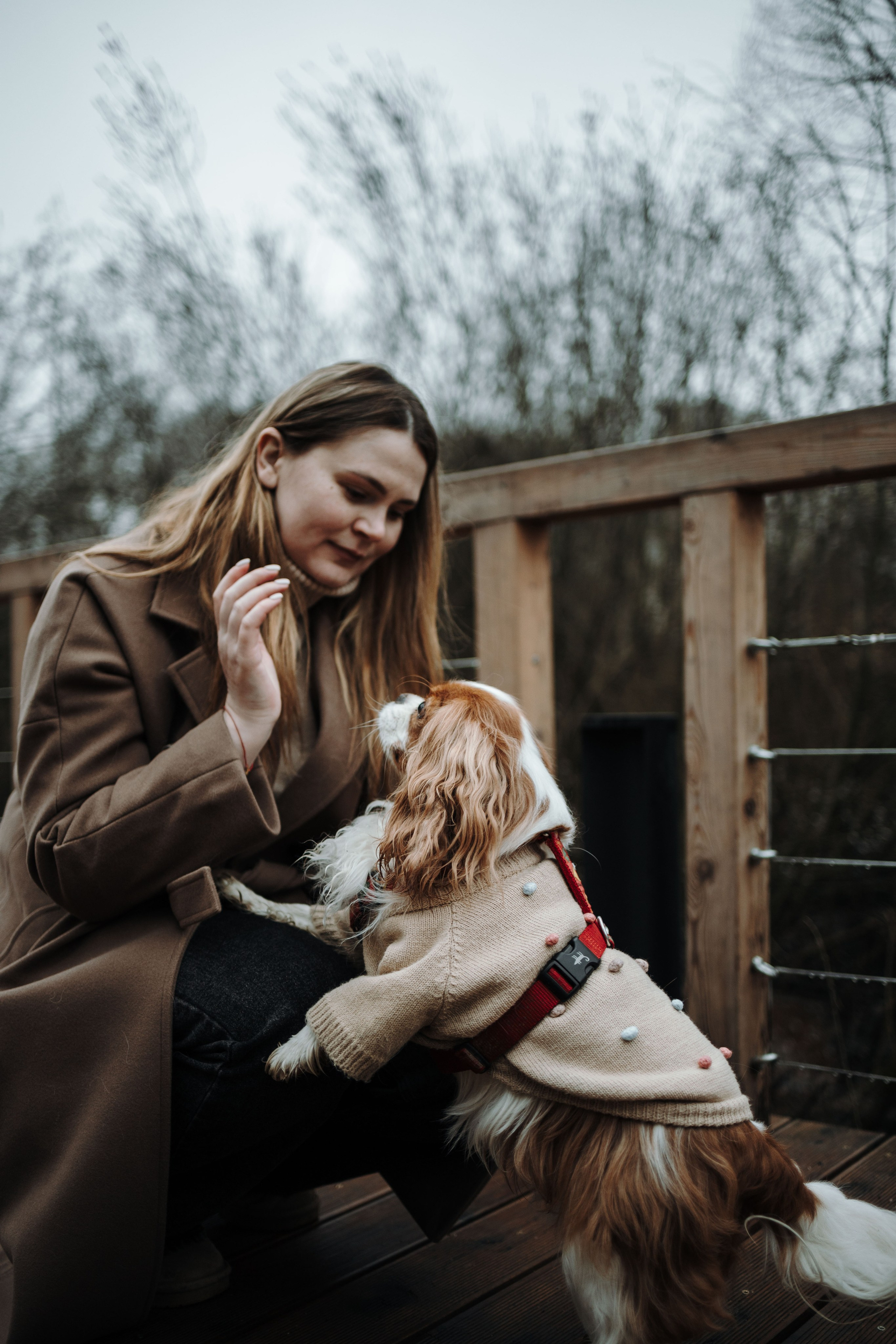 Любовь и Альтаир