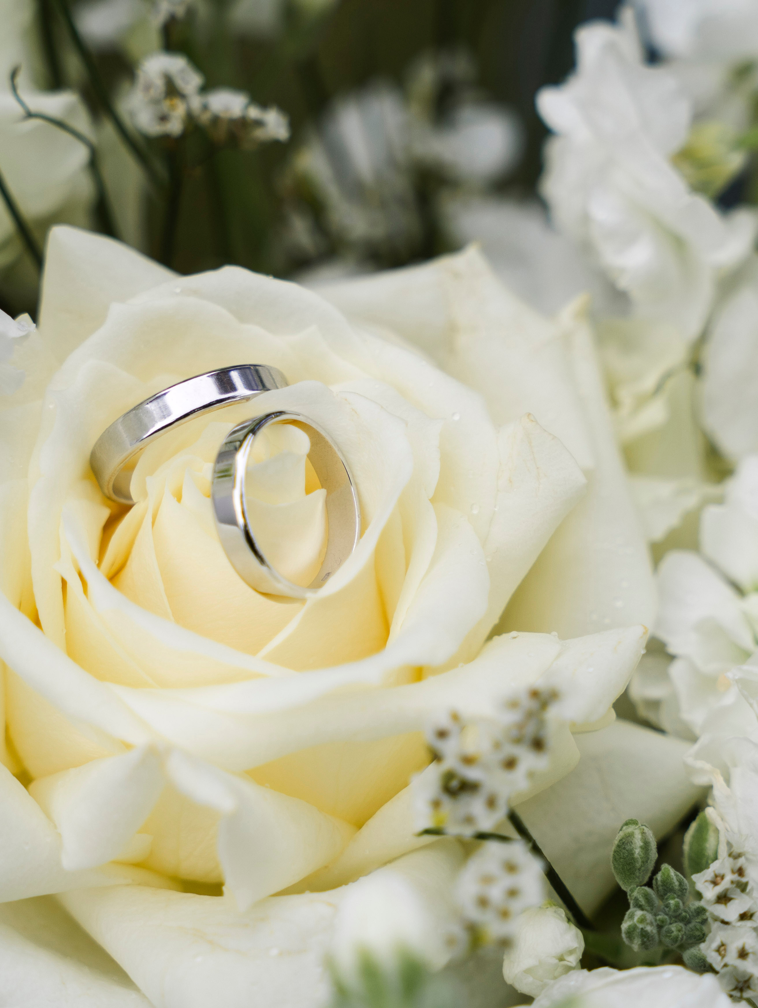 Екатерина + Дмитрий 23.06.2023. Свадебный фотограф