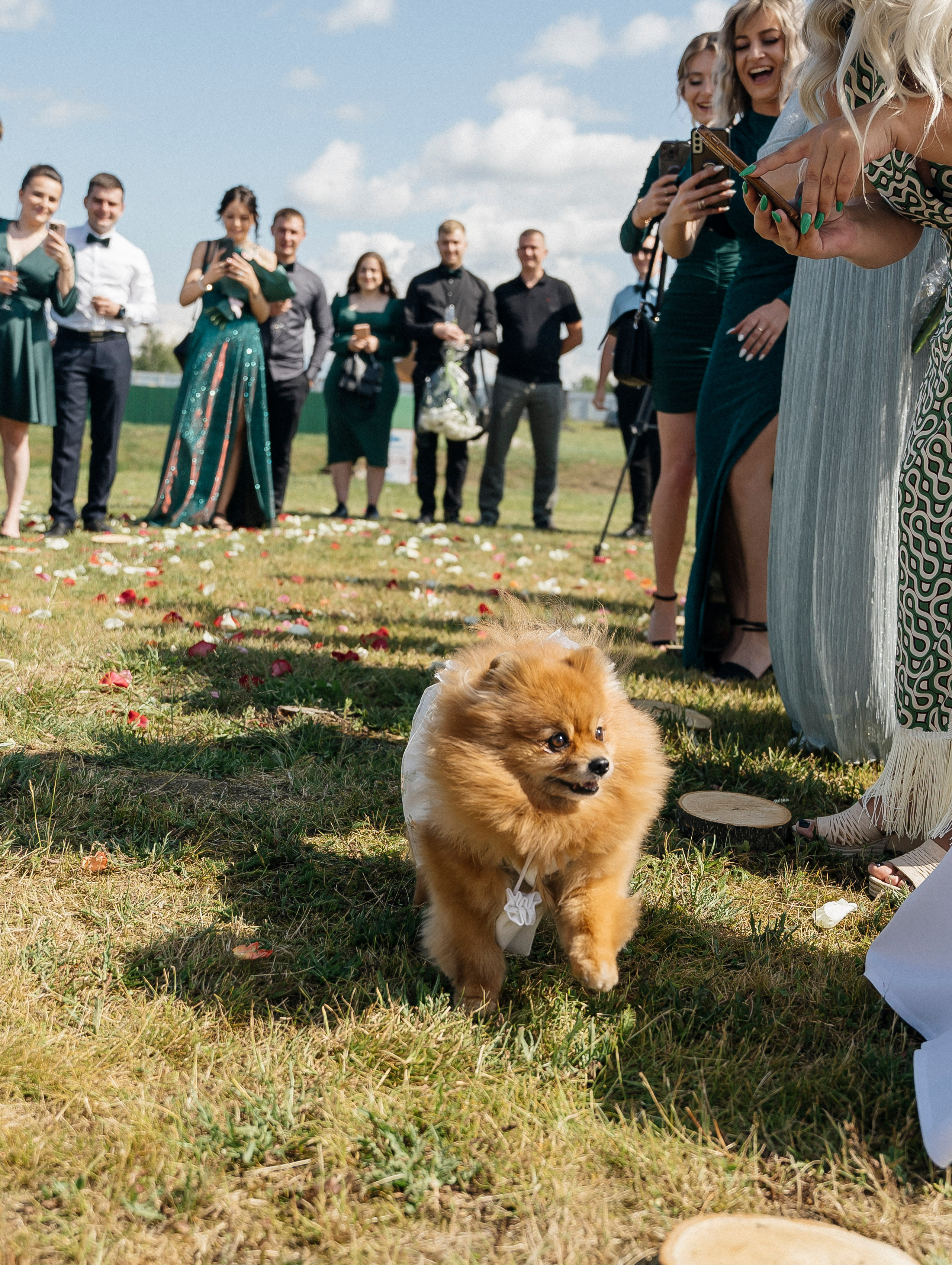 Дарья + Владислав 1.07.2023. Свадебный фотограф
