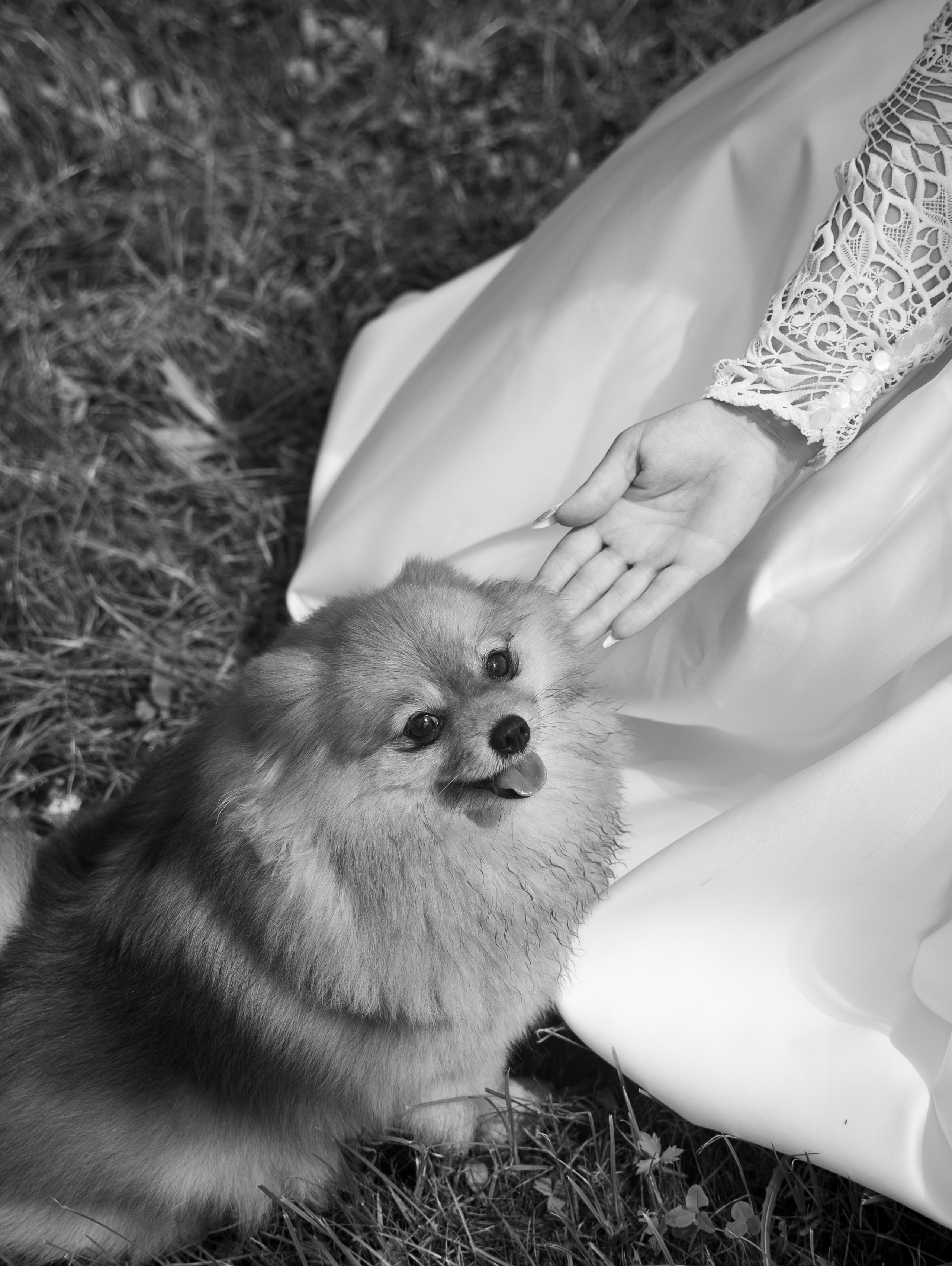 Дарья + Владислав 1.07.2023. Свадебный фотограф