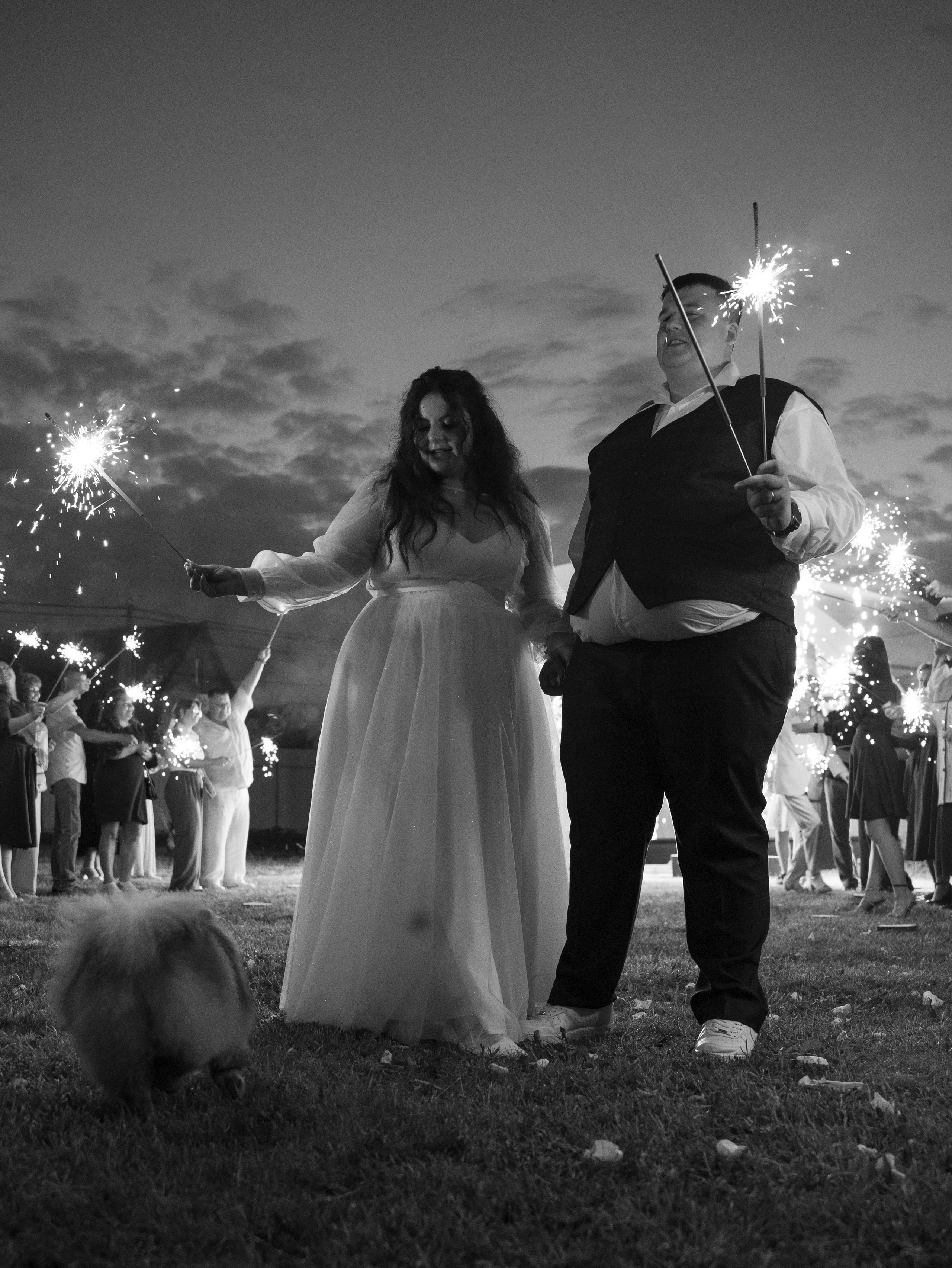 Дарья + Владислав 1.07.2023. Свадебный фотограф