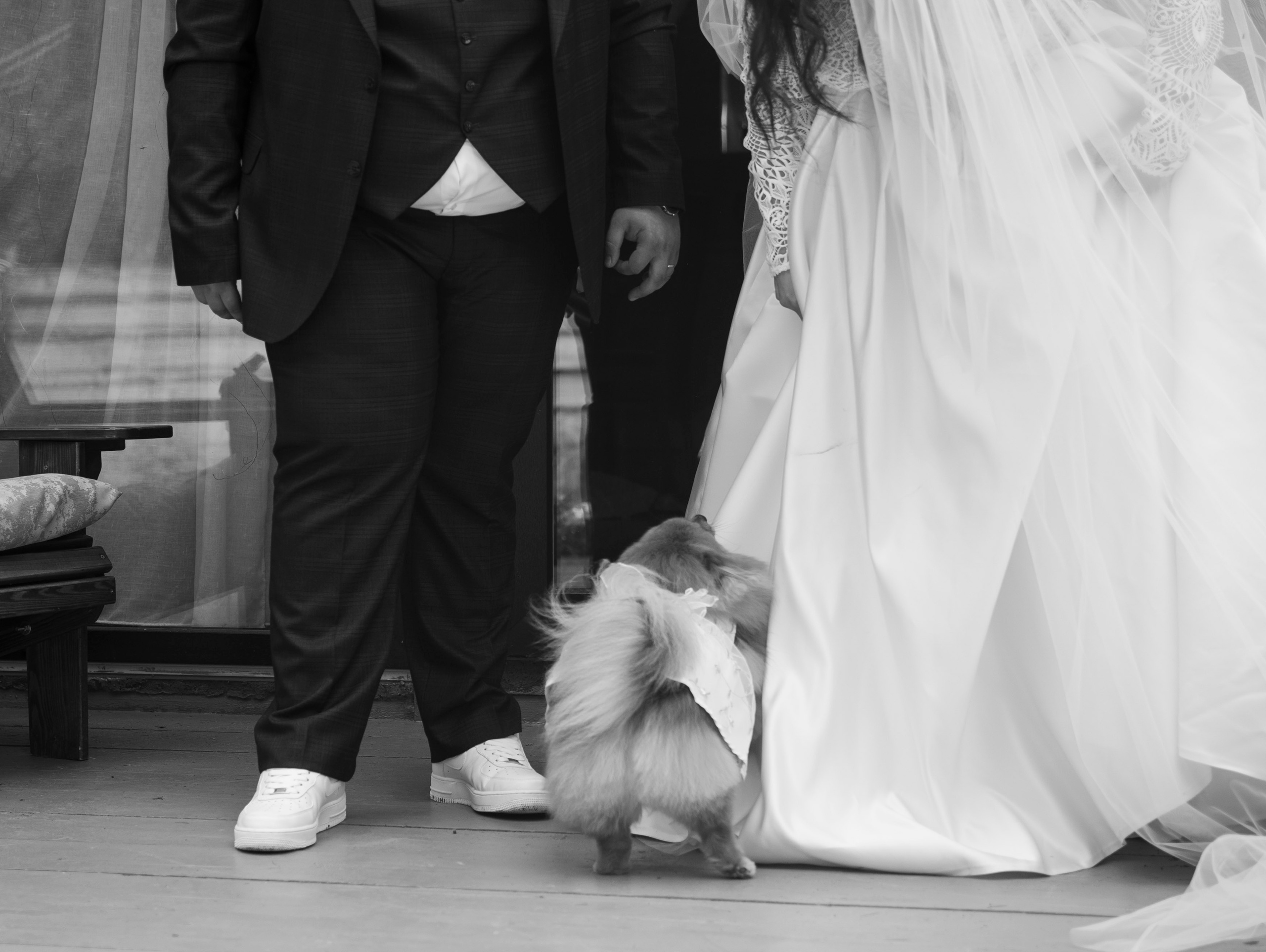 Дарья + Владислав 1.07.2023. Свадебный фотограф