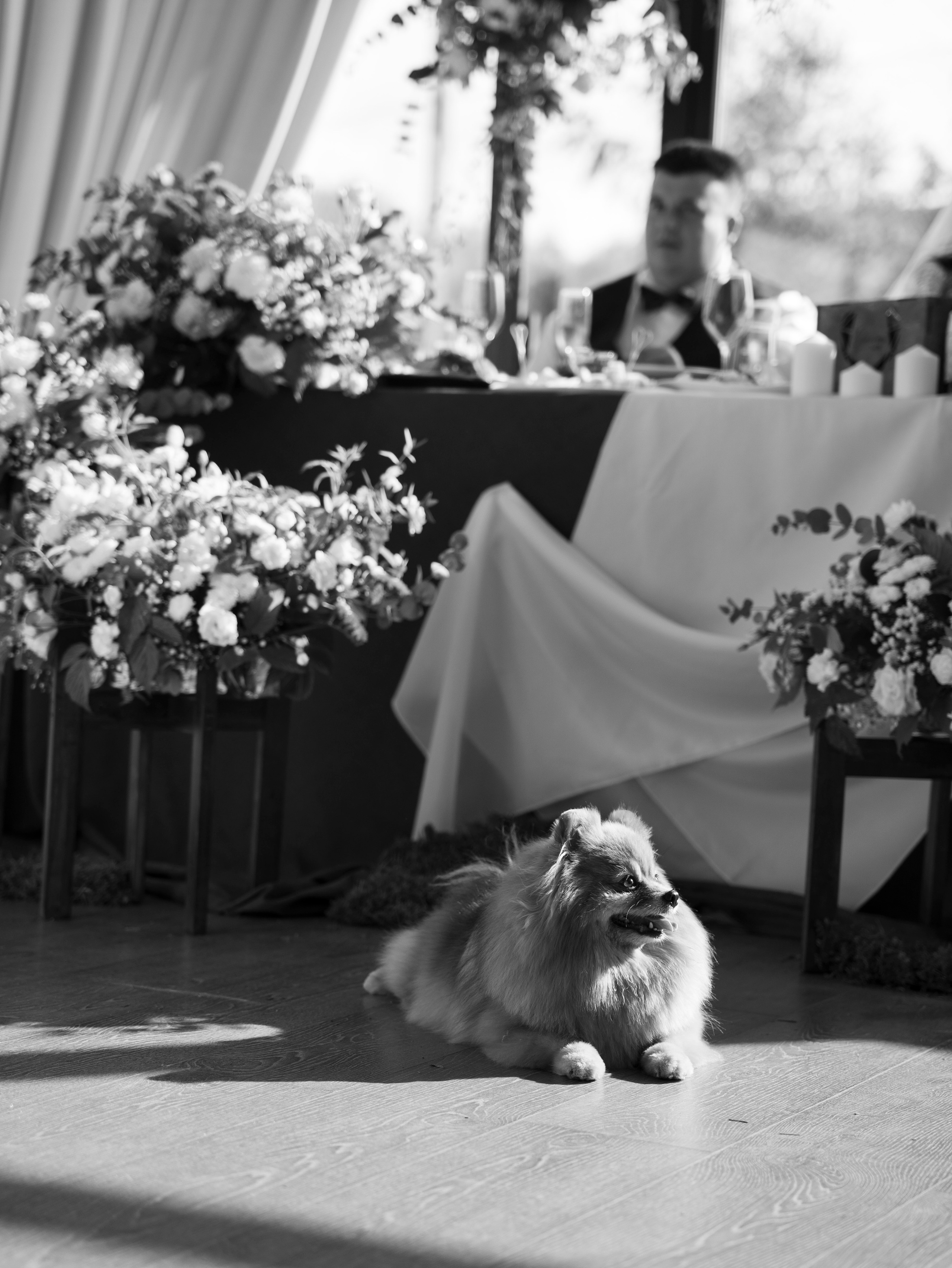 Дарья + Владислав 1.07.2023. Свадебный фотограф