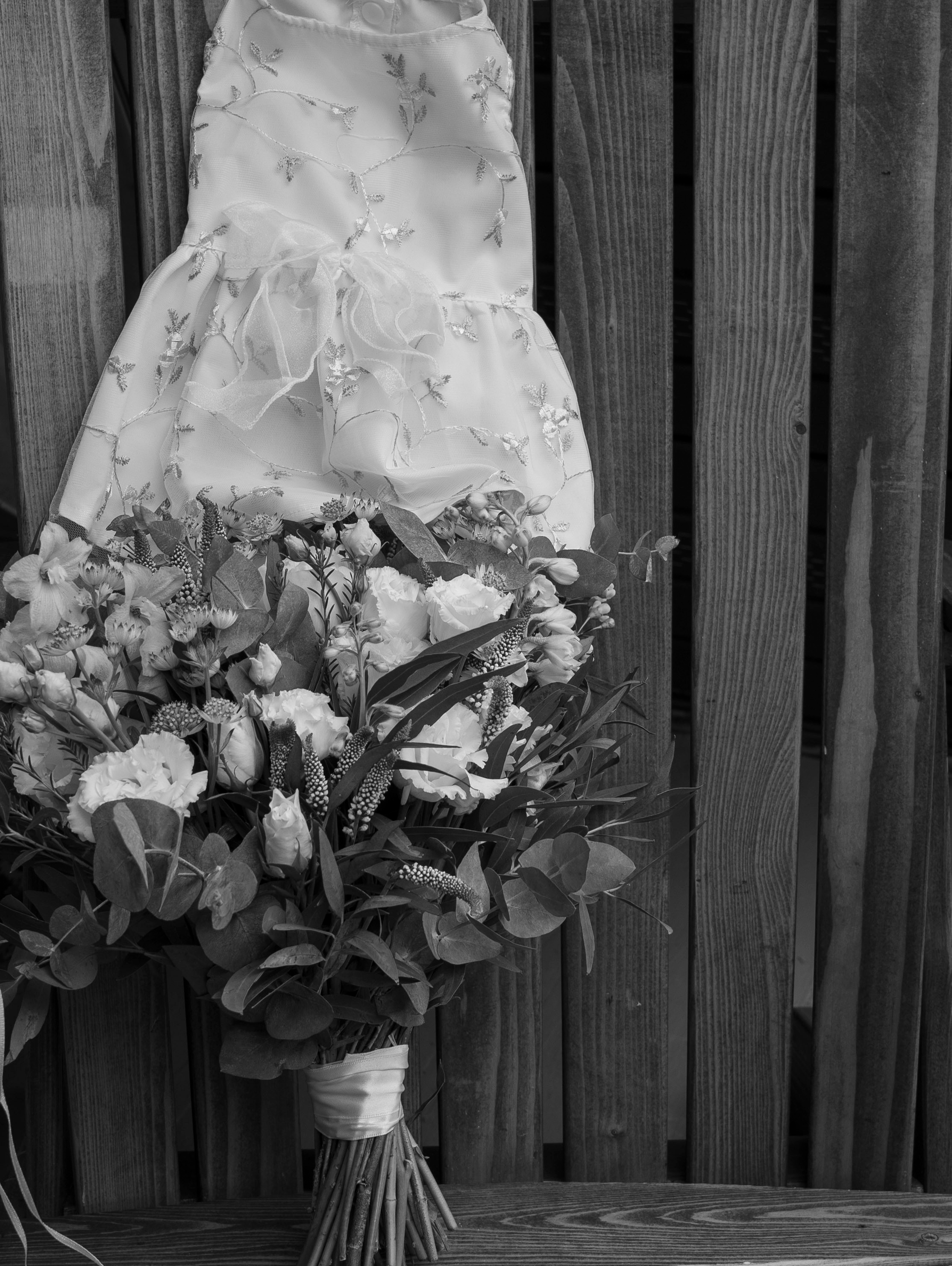 Дарья + Владислав 1.07.2023. Свадебный фотограф