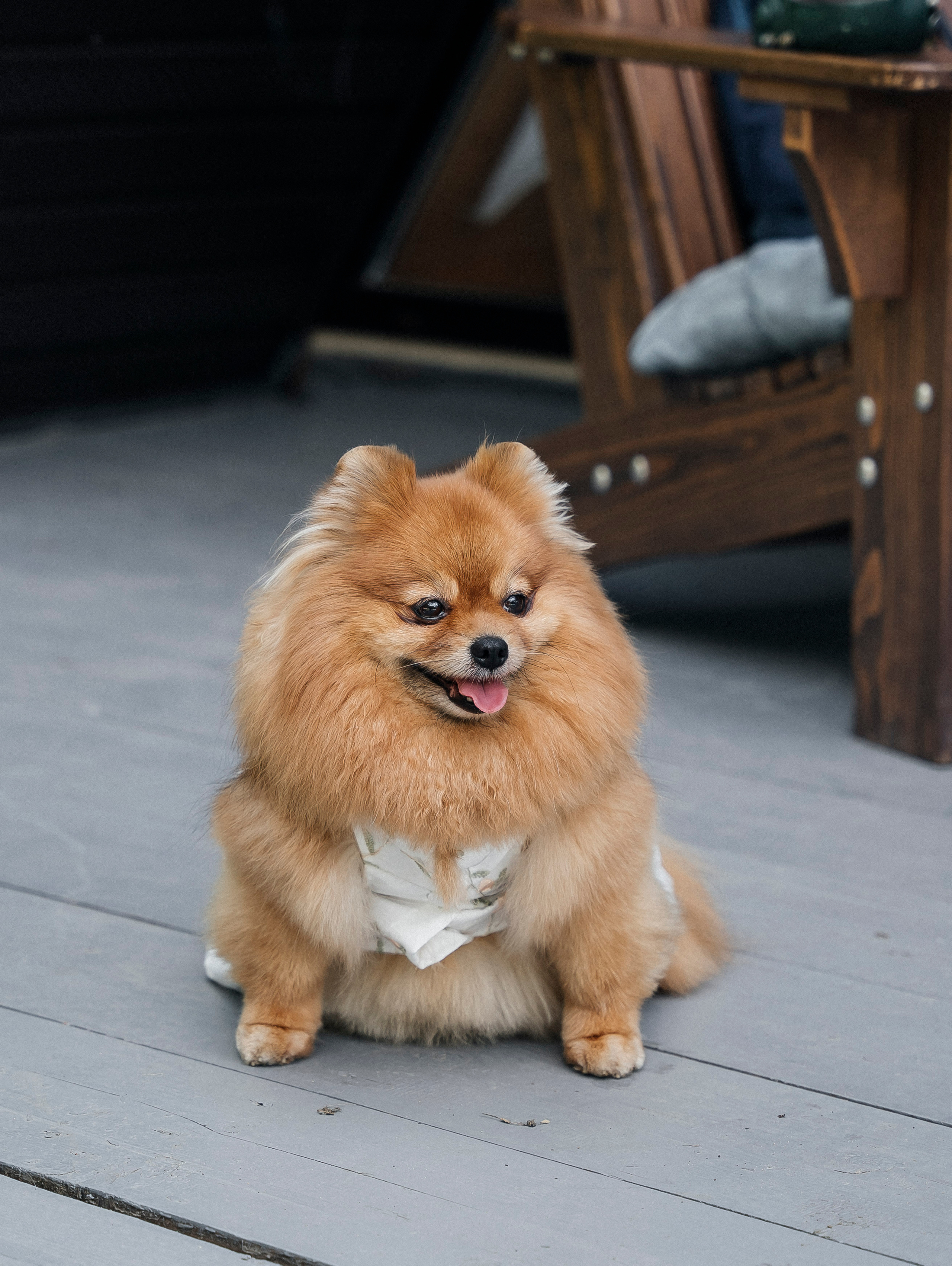 Дарья + Владислав 1.07.2023. Свадебный фотограф