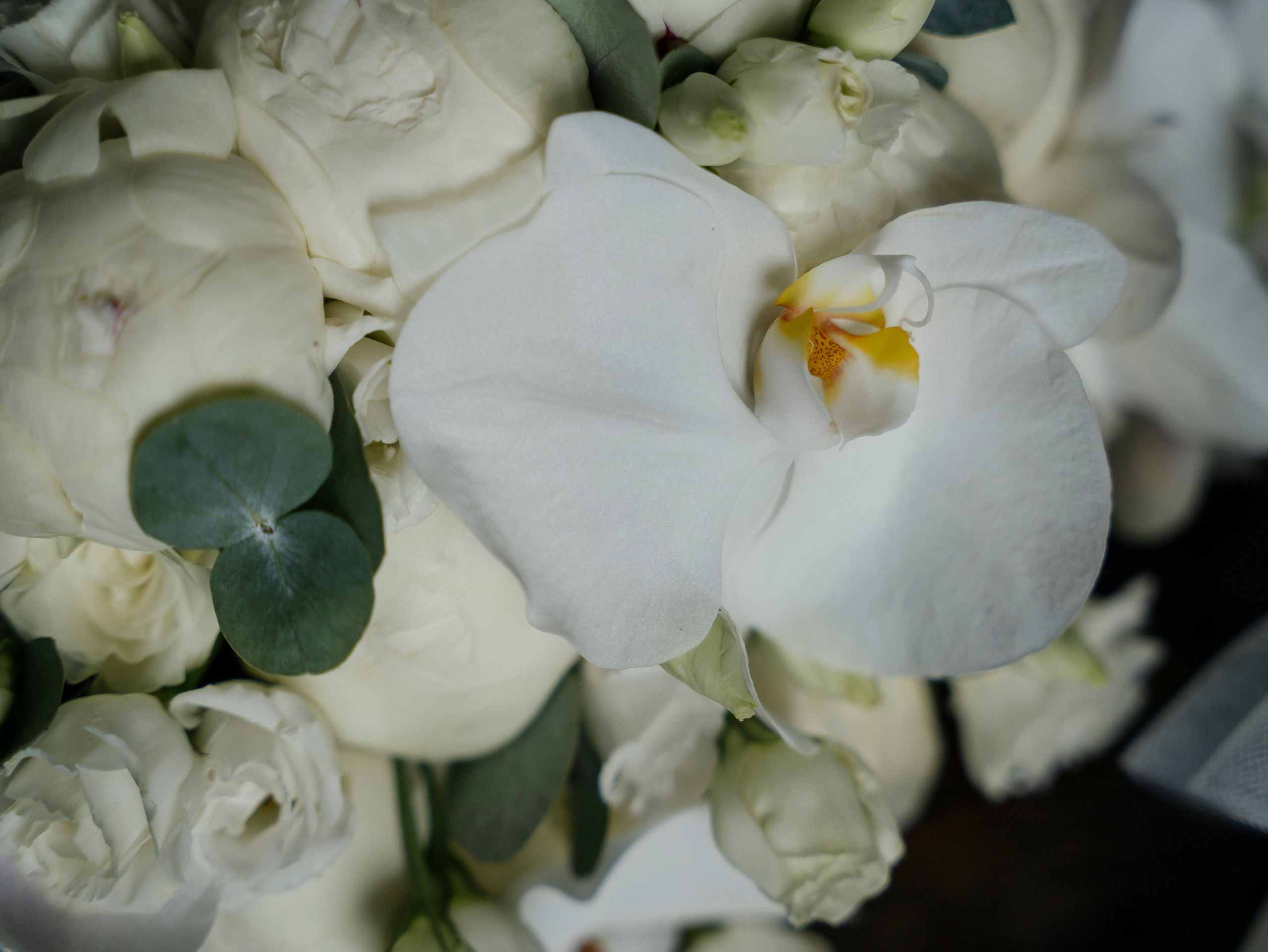 Анна + Артем 07.07.2023. Свадебный фотограф