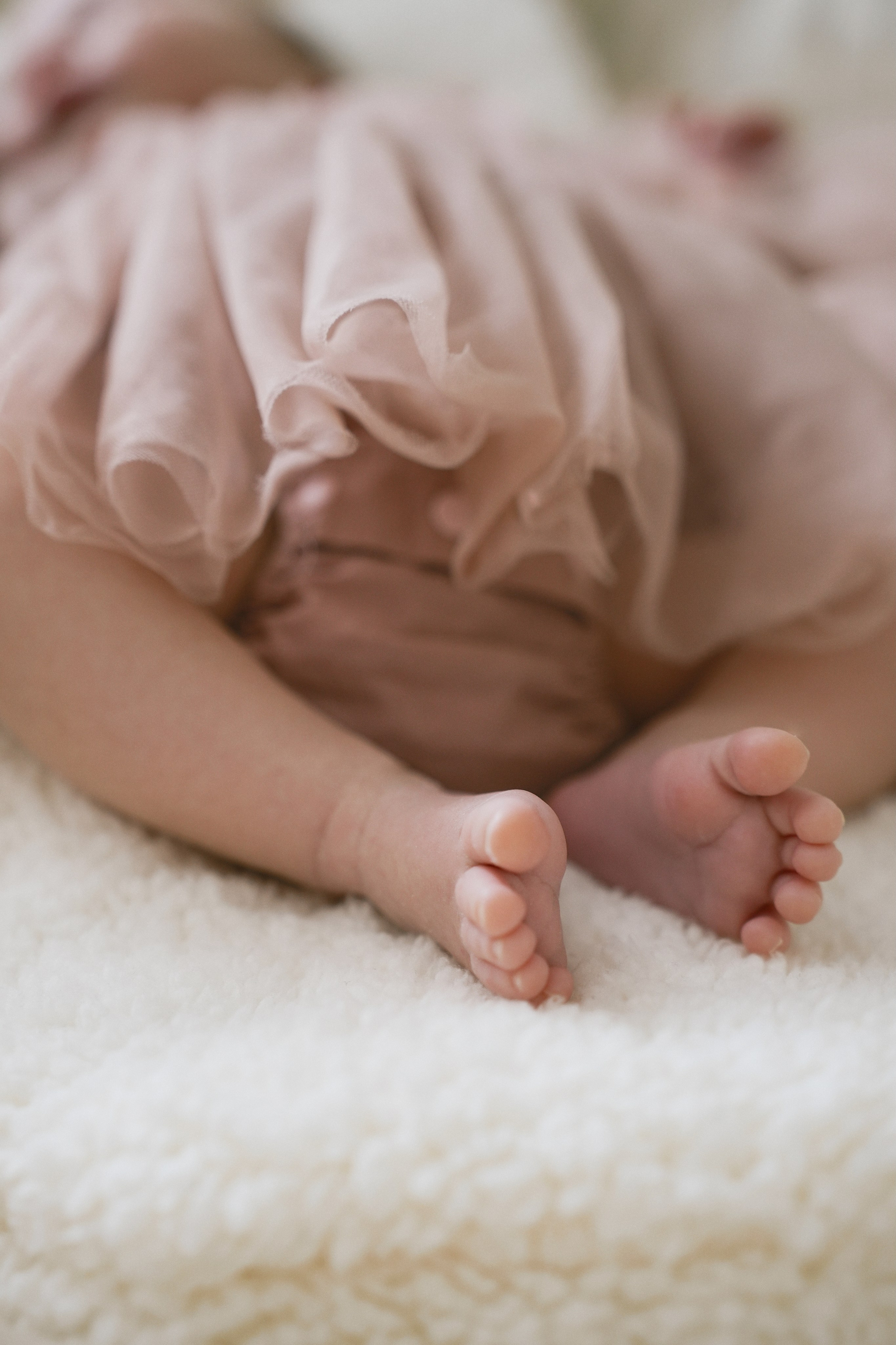 Маленькая Амелия и ее большая семья. Главная