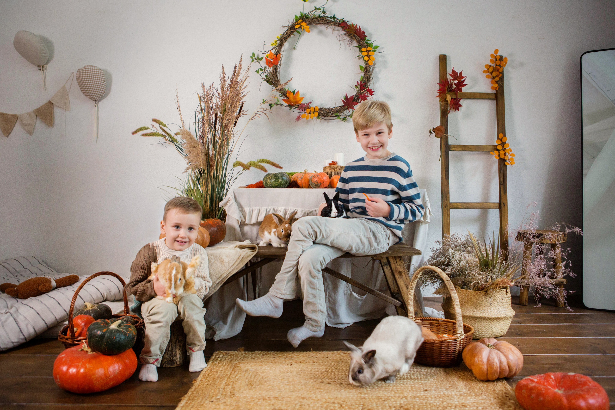 «Осень. Тыквы. Кролики». Фотостудия «Menstone». Свадебный семейный и детский фотограф в Краснодаре Карина Федоровская