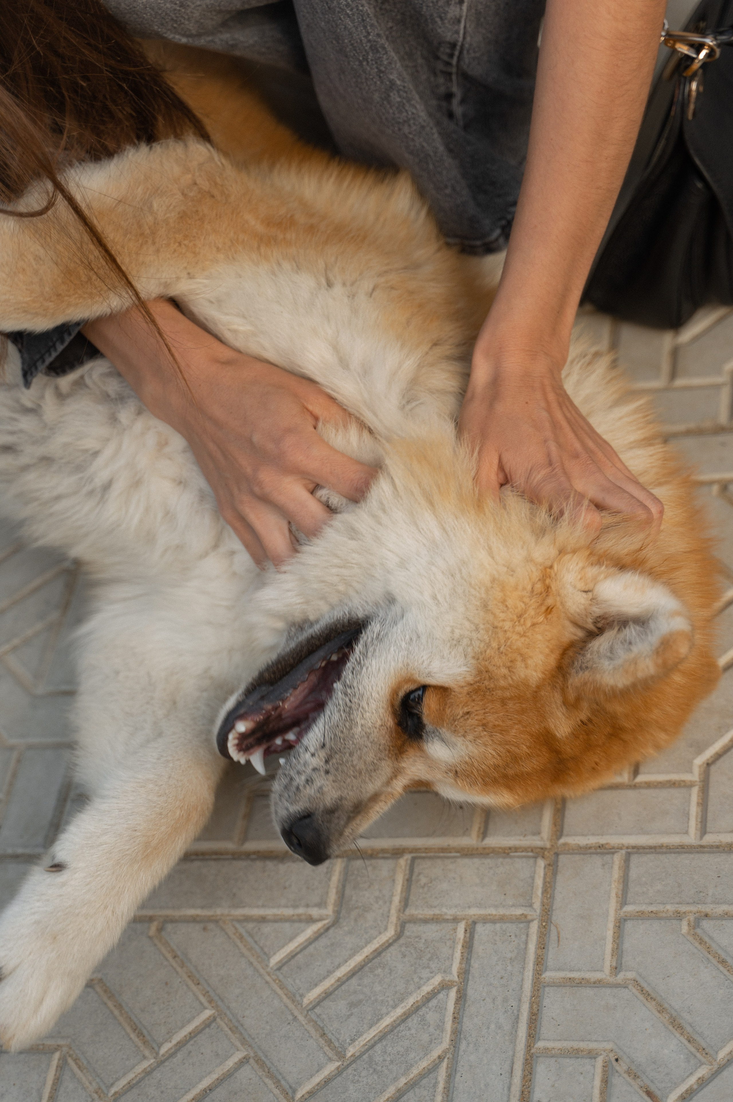 Мероприятия. ФОТОГРАФ/РУДНЫЙ/КОСТАНАЙ
