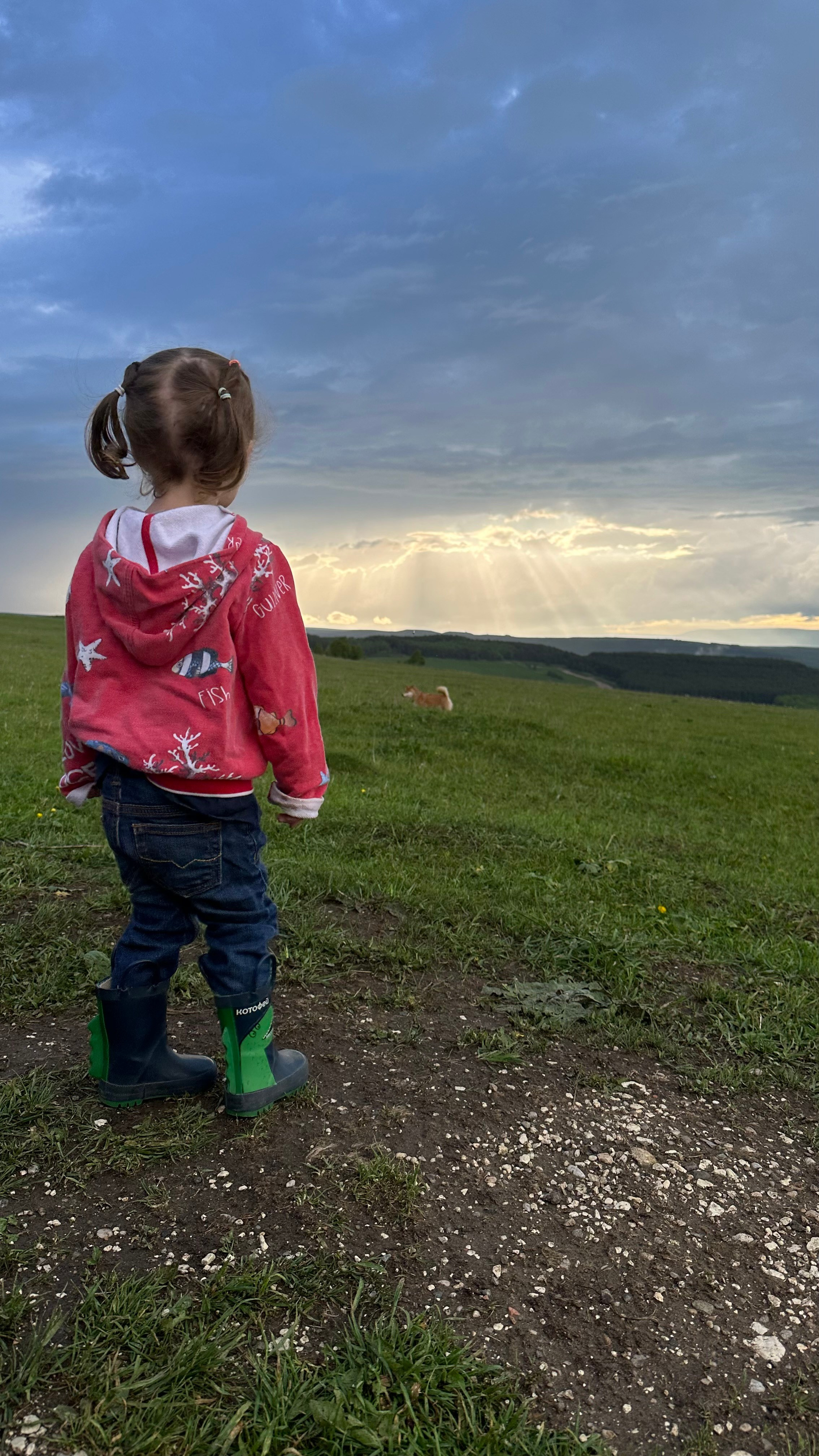 Дети. Смотри, красота!