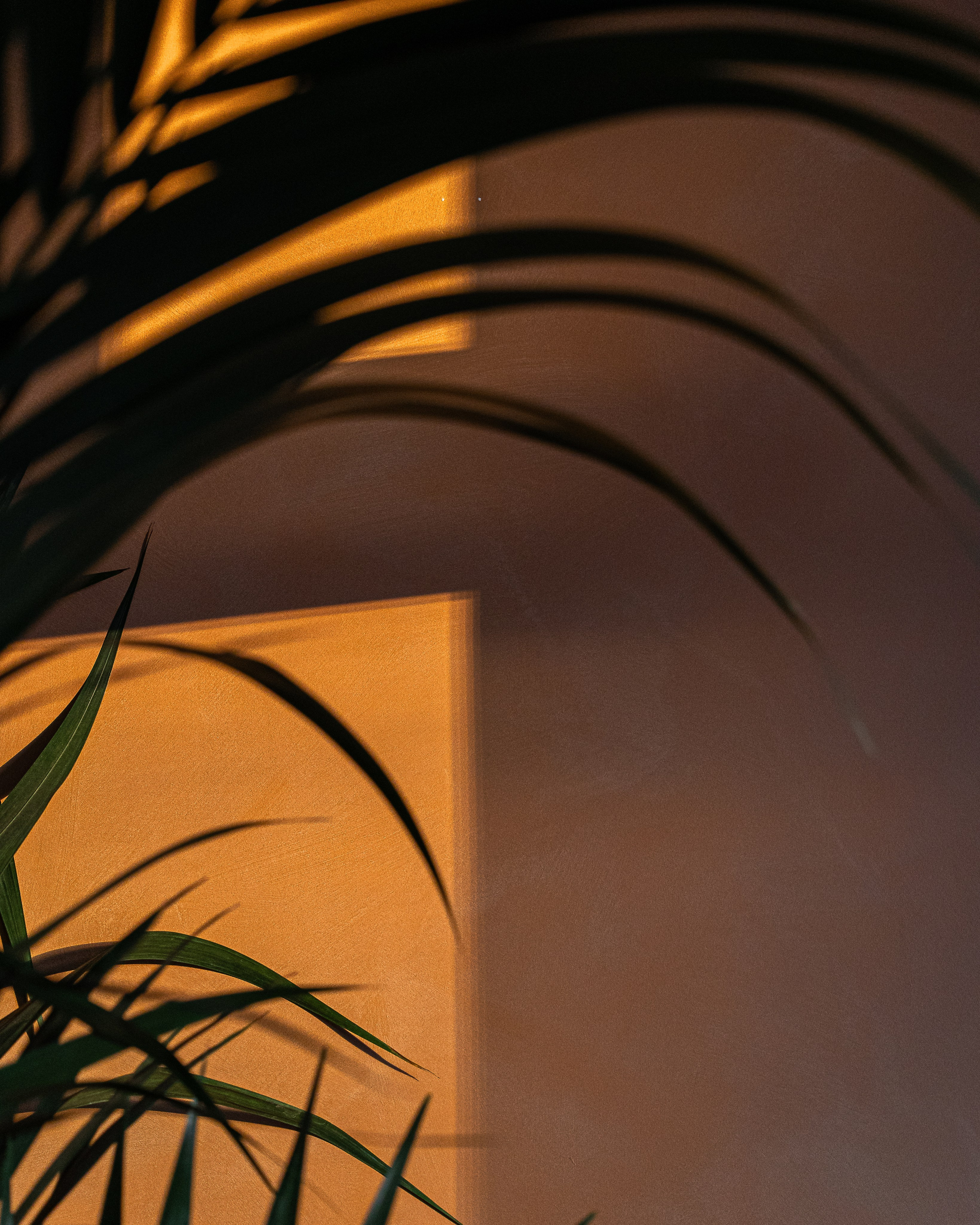 ОБИТАЕМЫЙ ОСТРОВ