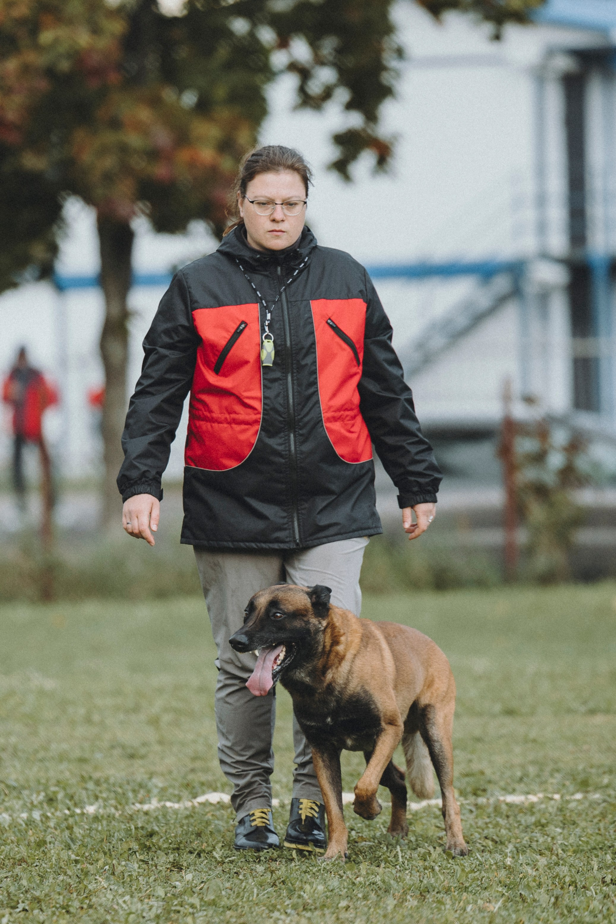 Испытания по мондьорингу г. Пушкин 29.09.2024. Фотограф-анималист Анна Маринич