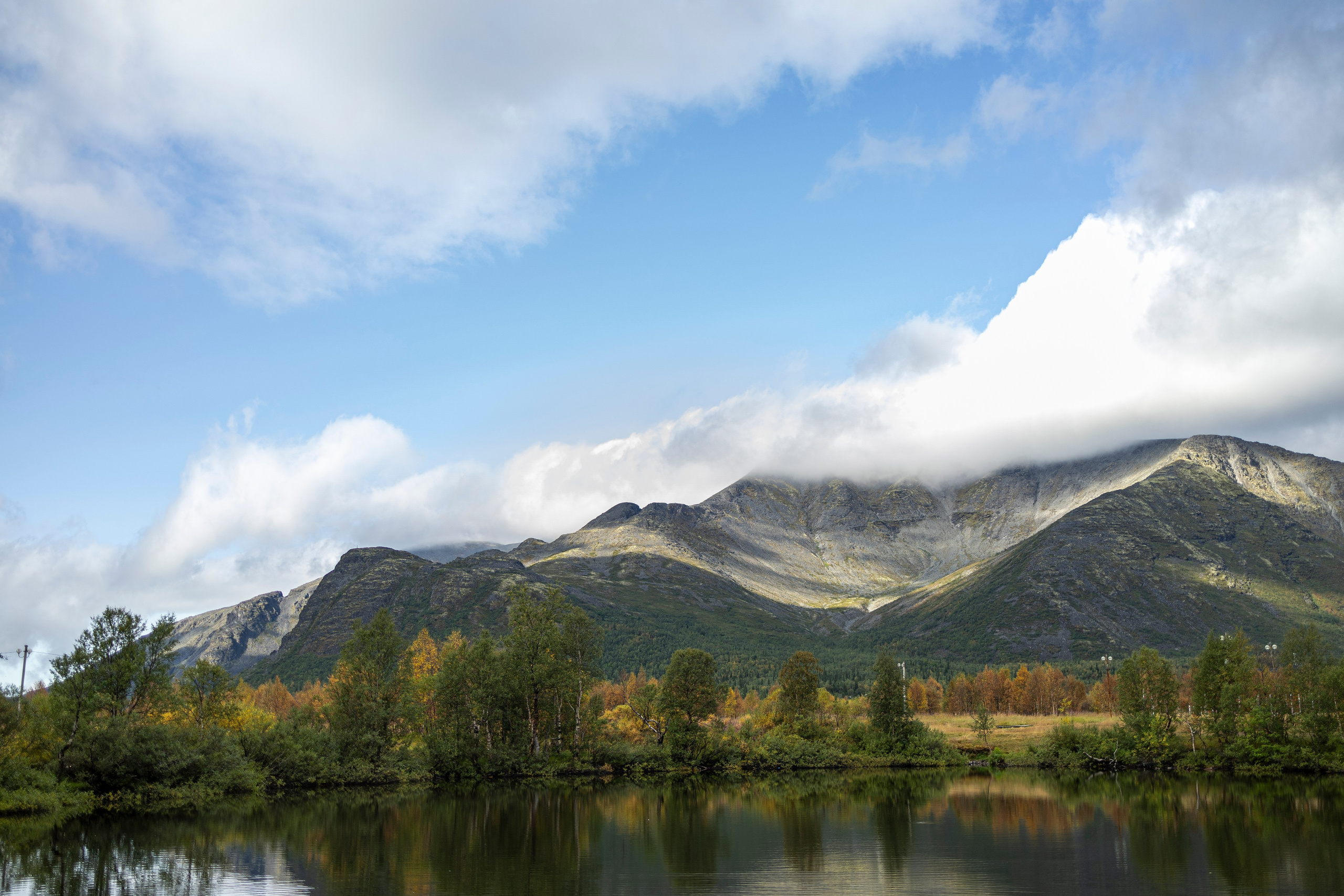 Горы. Фотограф-анималист Анна Маринич