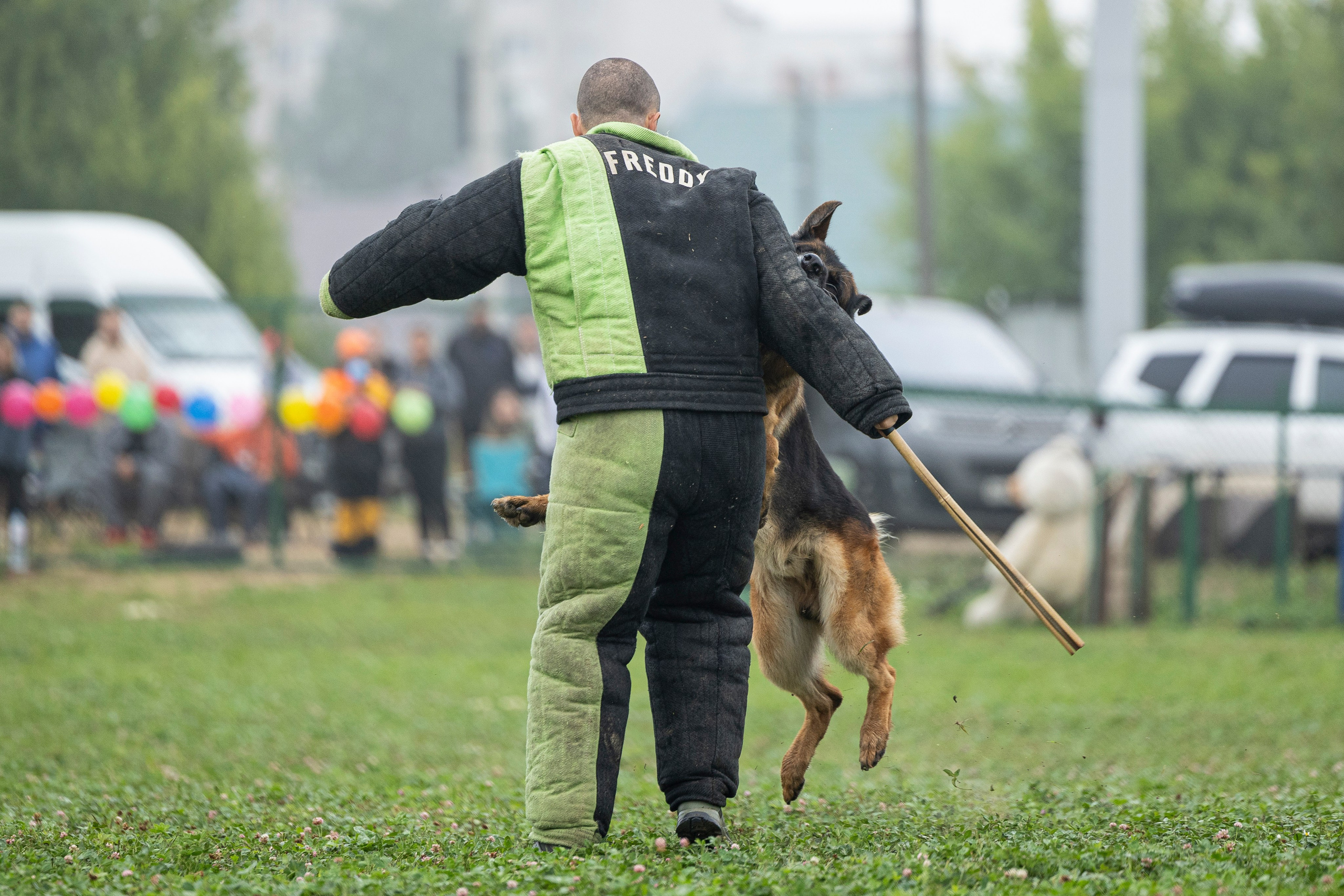 Соревнования по Мондьорингу г. Вологда 10-11.08.2024. Фотограф-анималист Анна Маринич