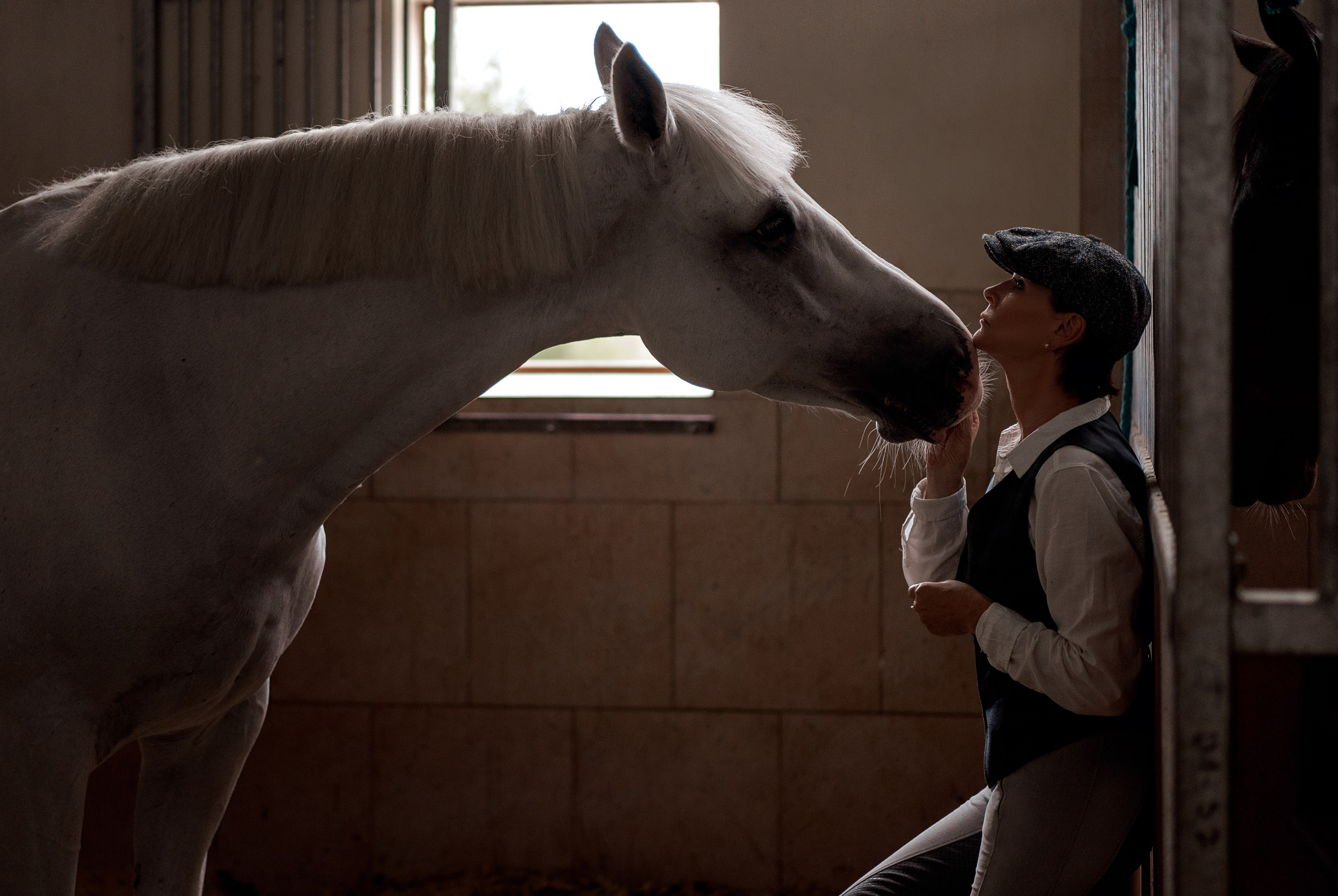 Фотосессии с лошадьми. Фотограф Артемьева Катерина|фотосессии с лошадьми