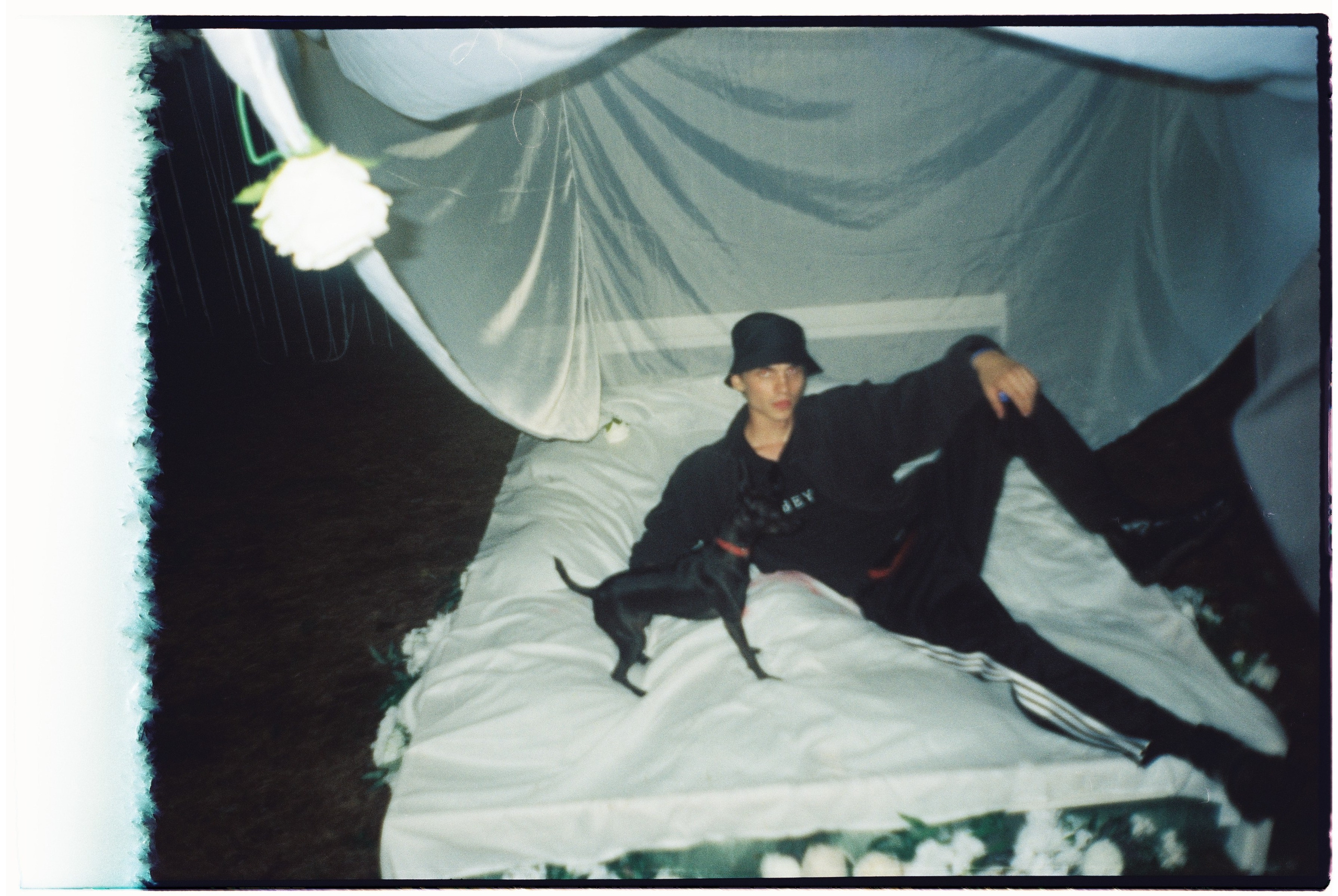 Film chronicle. Kosky ilya