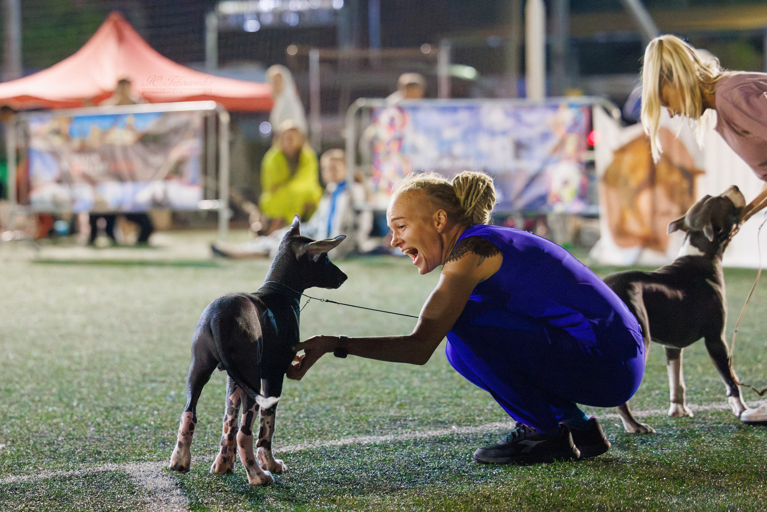 Волгоград 2-4.08.2024. Фотограф-анималист Юлия Германика