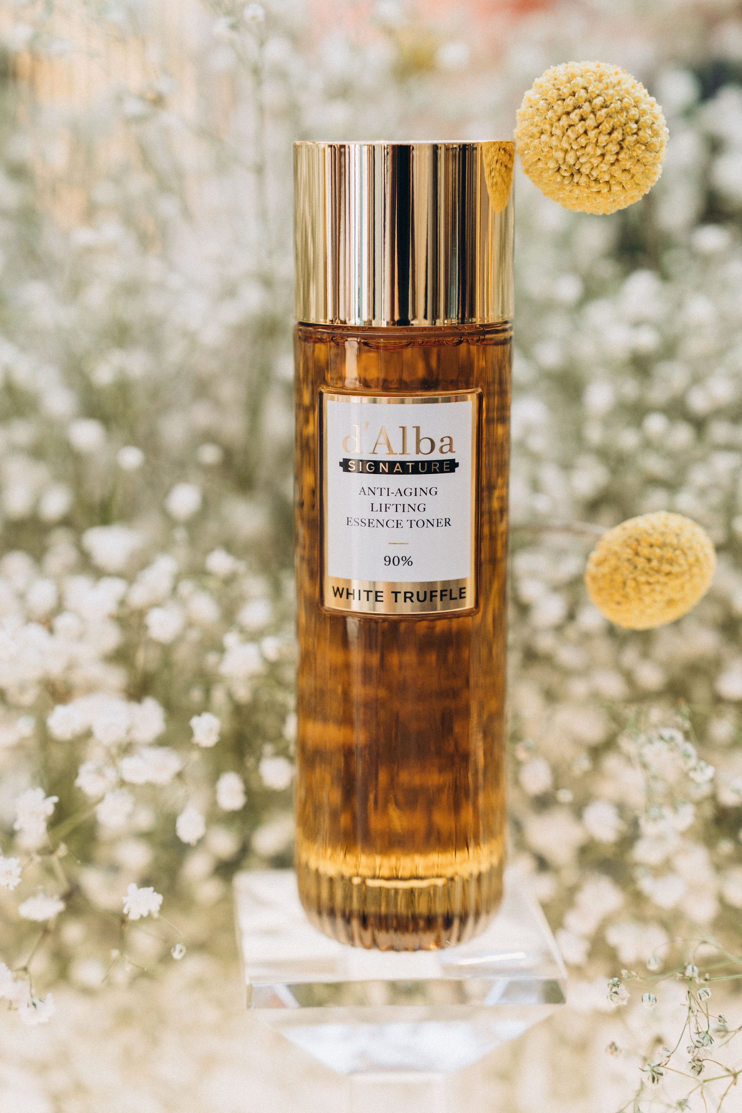 Pop up d'Alba. Фотограф Гвоздева Варвара / Москва