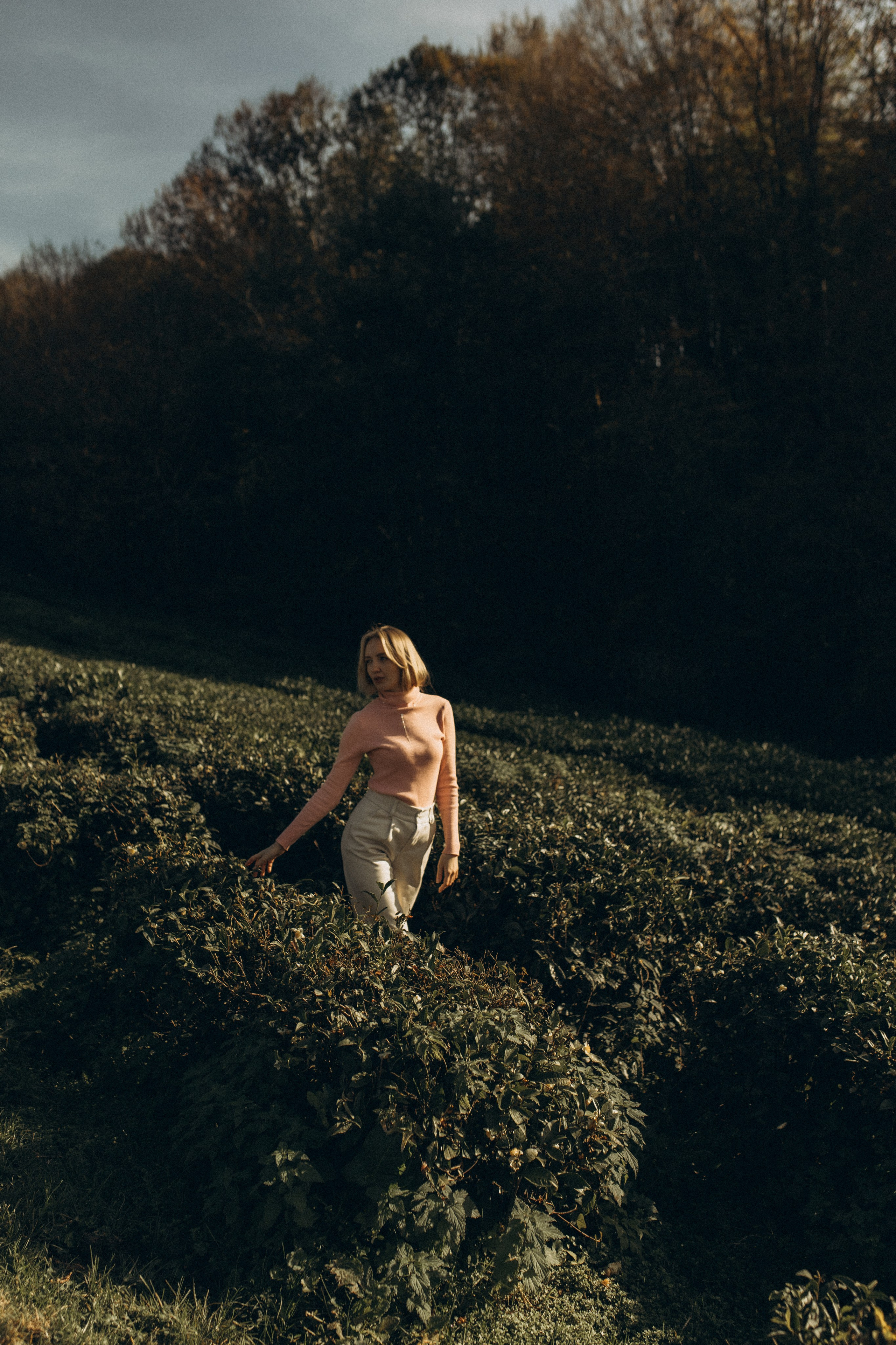 Чайные плантации. Елена. Яна Романова Семейный фотограф в Сочи и Адлере