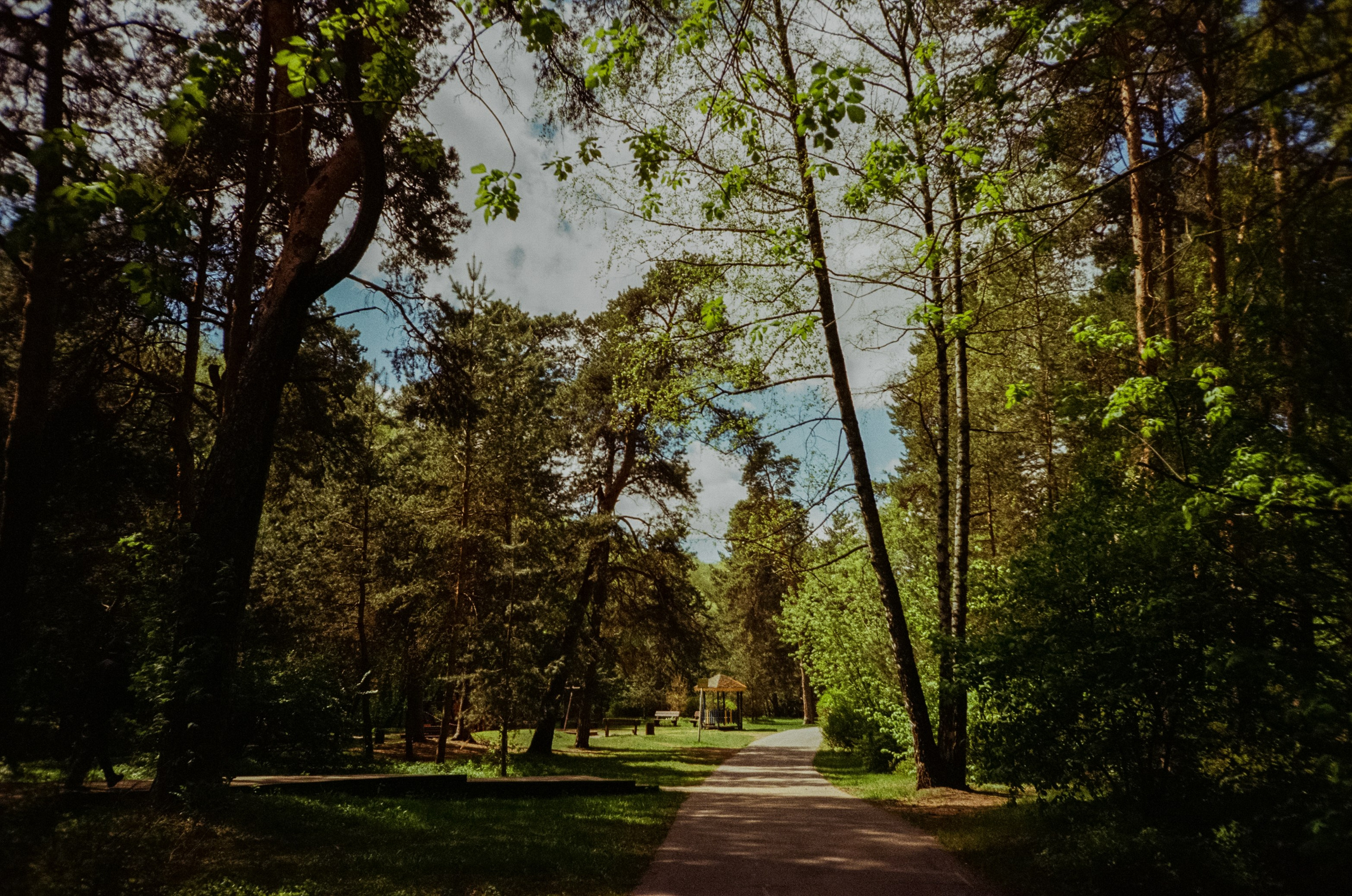 Ricoh R1 | Kodak ProImage 100 | 6 мая 2025 года СерБор