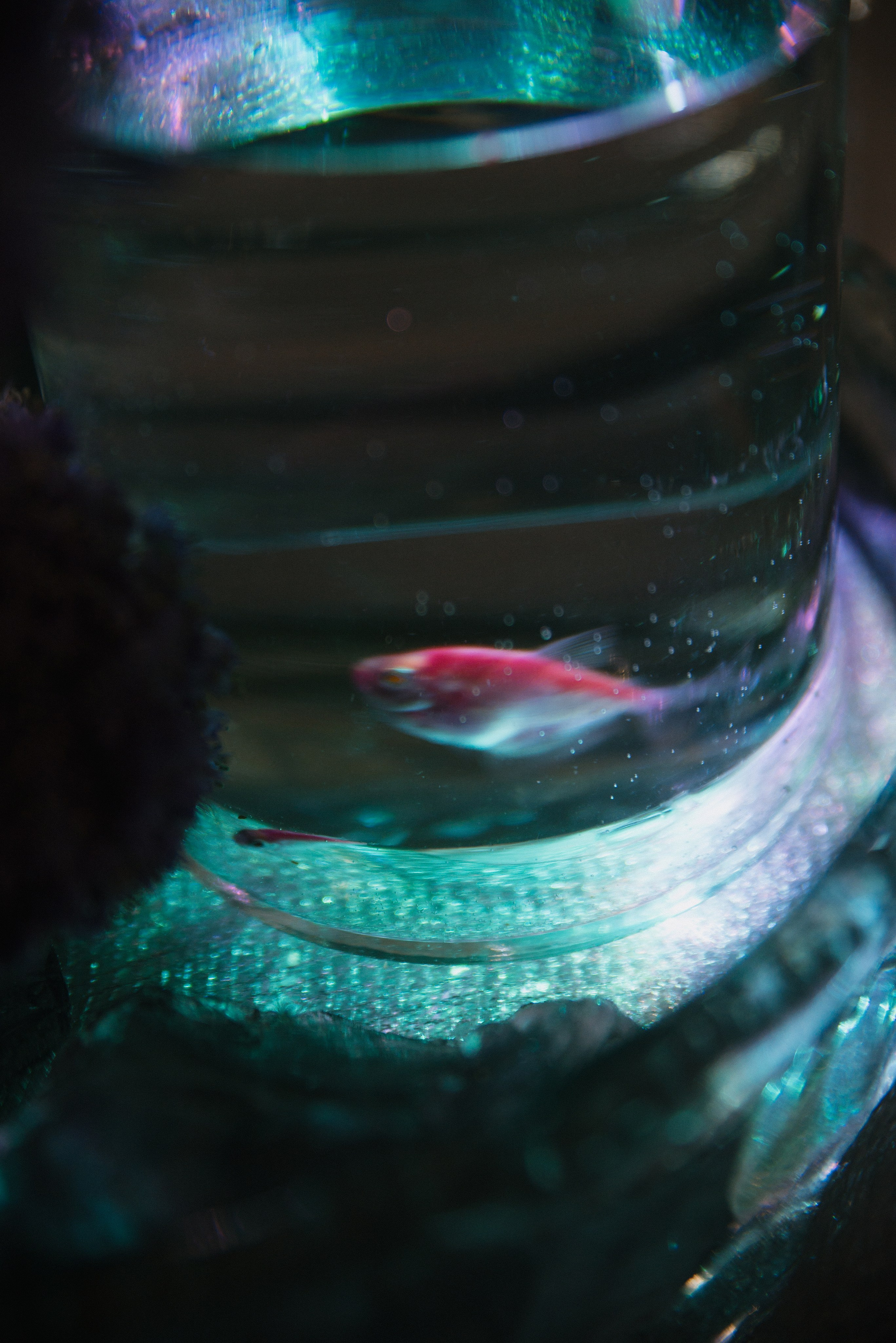 Андрей & Алёна. Свадебный, семейный, женский фотограф в Москве, Мытищах, Королёве Ксения Узилле