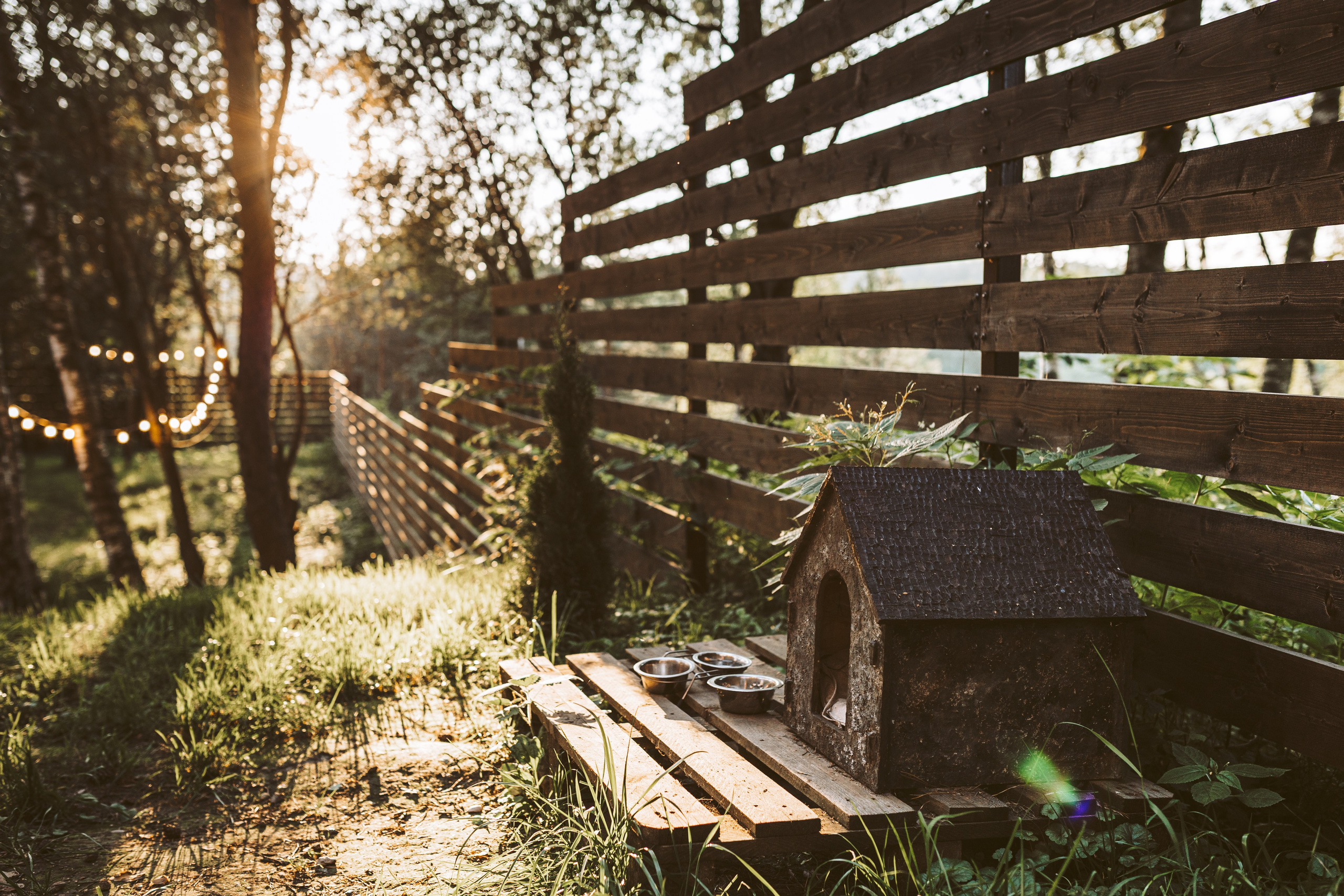 Хижина Хагрида. Свадебный фотограф Курзина Ольга | Москва