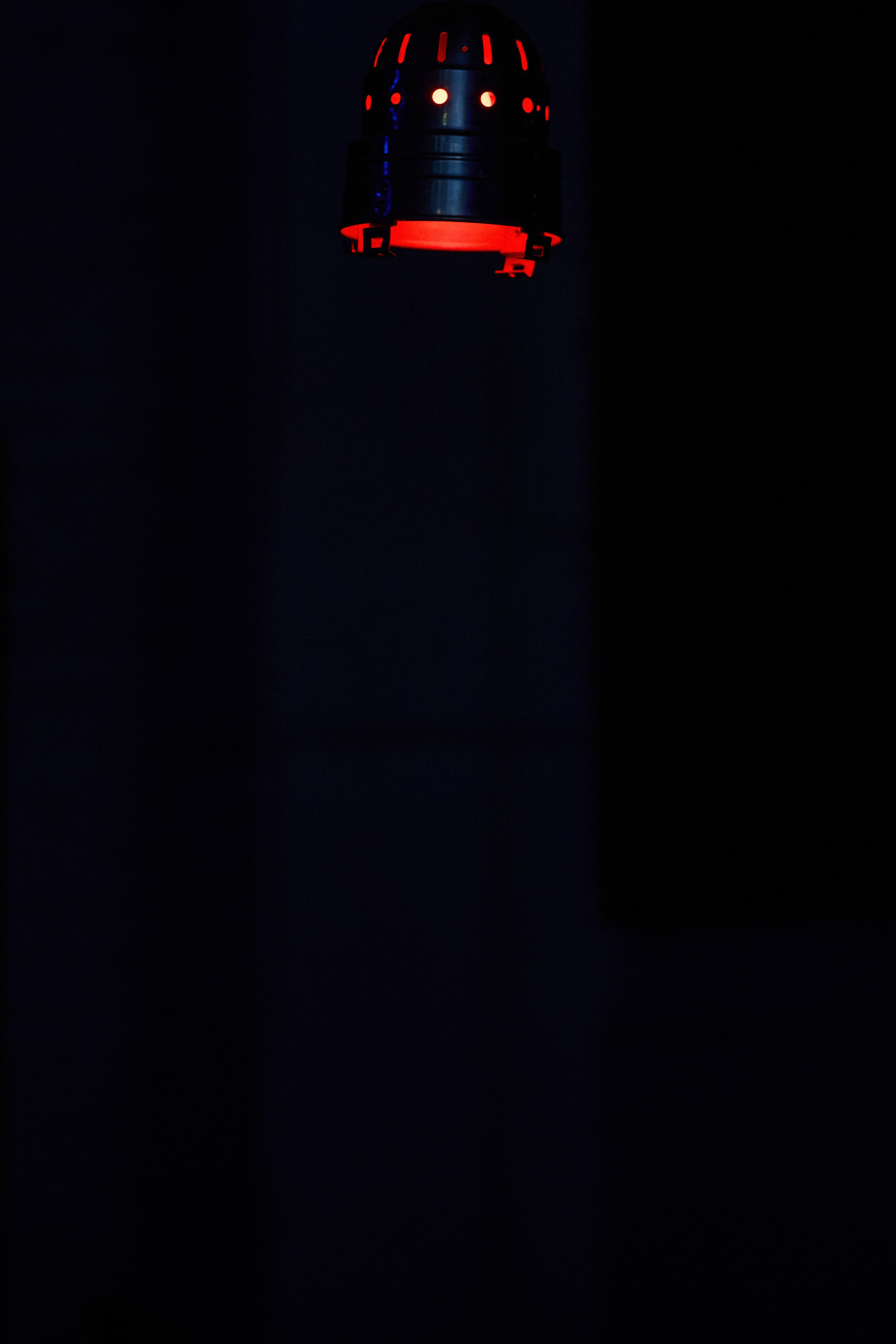 КОЧКА. Фотограф Айвазова Наталья Краснодар