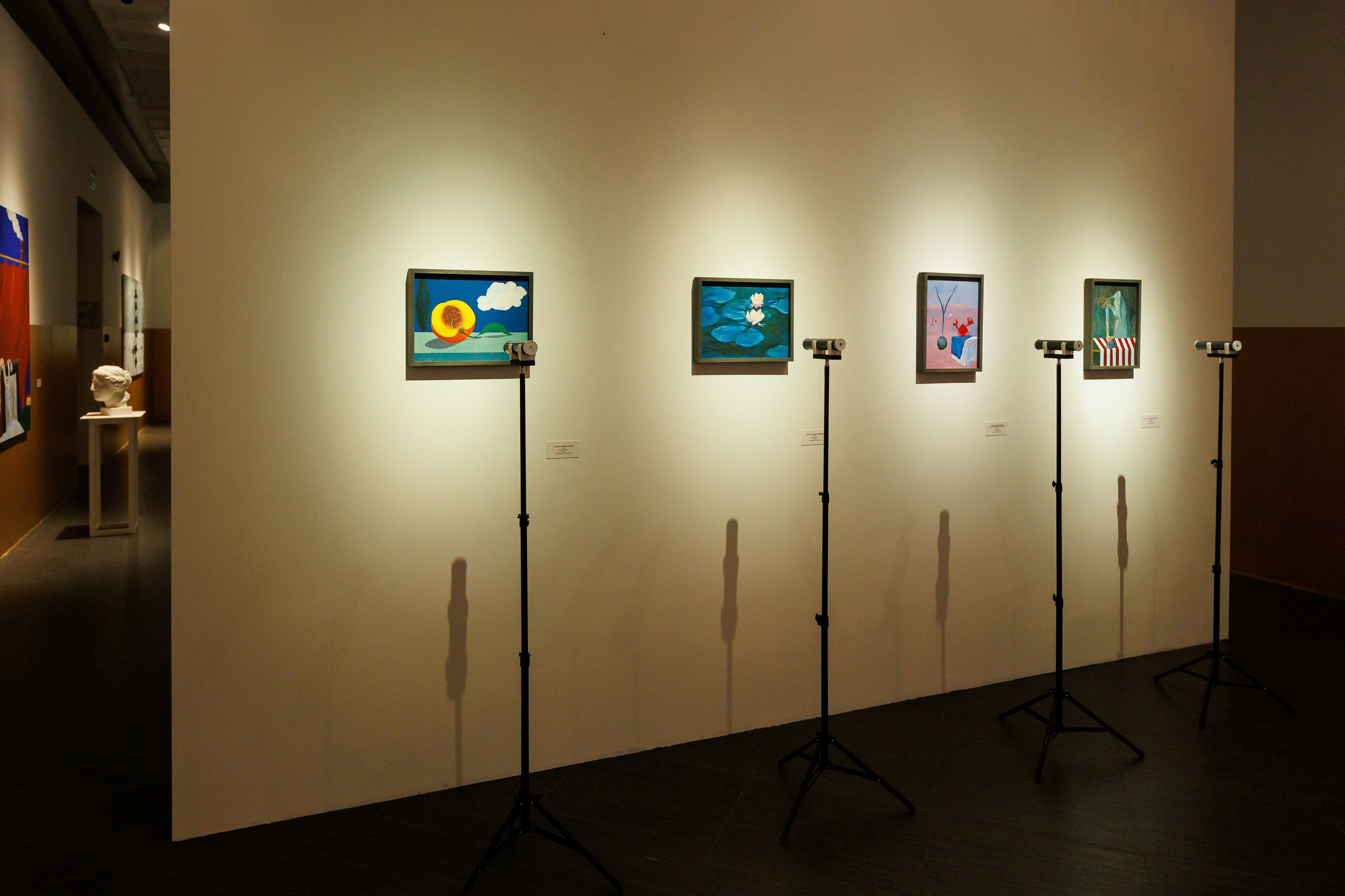 Открытите выставки Небесная География или разбор полетов Андрея Филиппова. Фотограф Иван Недорез