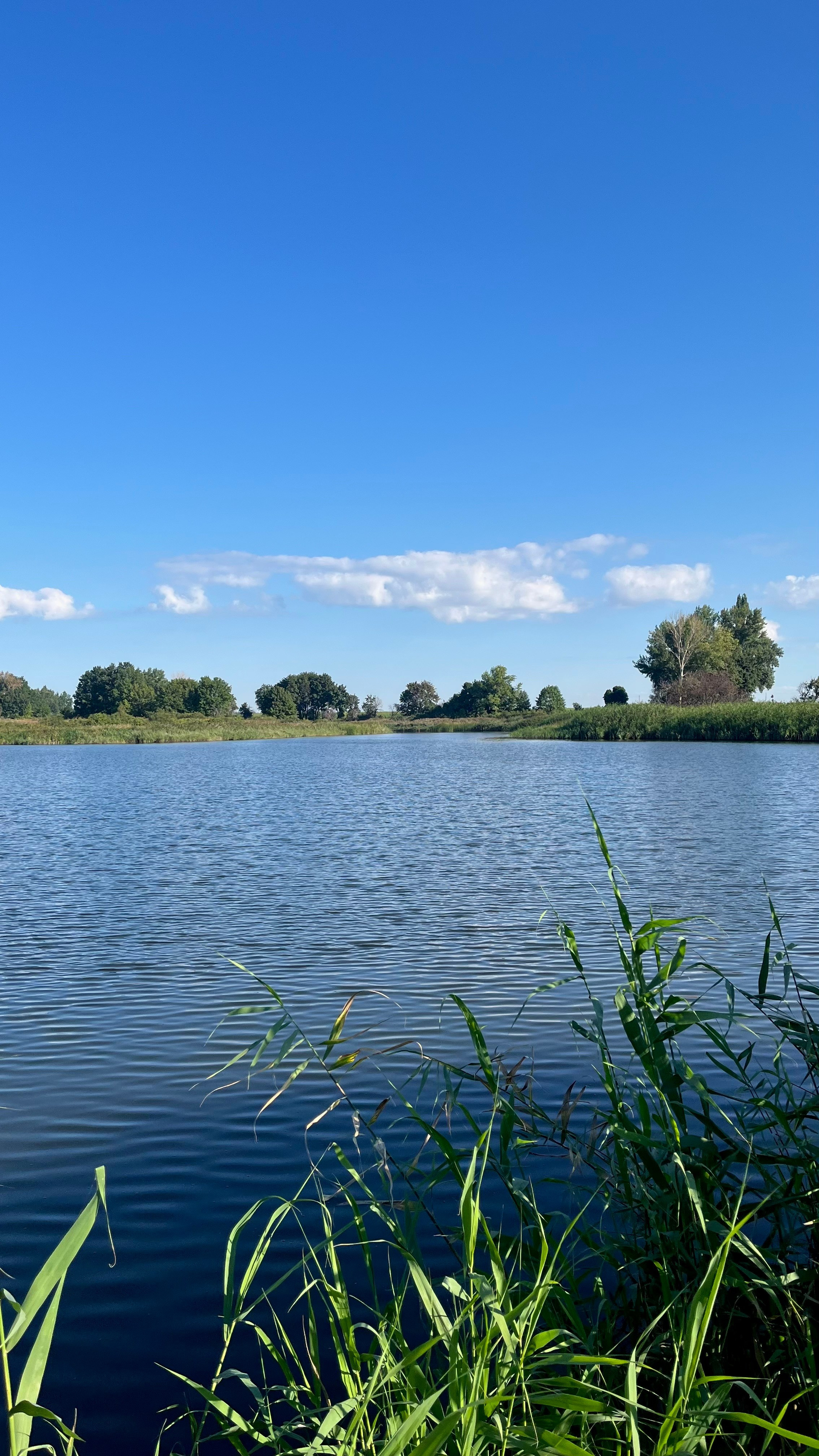 Летний пейзаж. Фотограф природных объектов