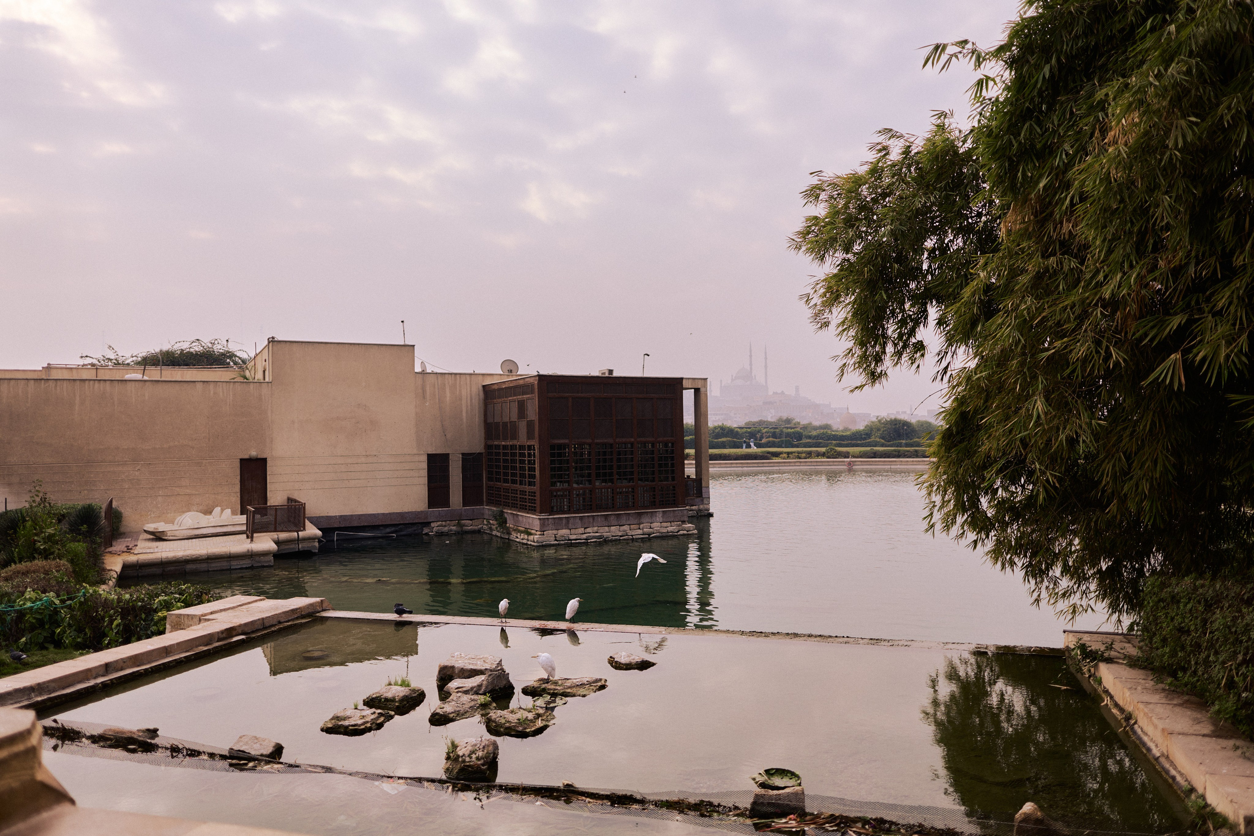 Другое 4. Jorgis — фотограф в Хургаде / обучение фотографии