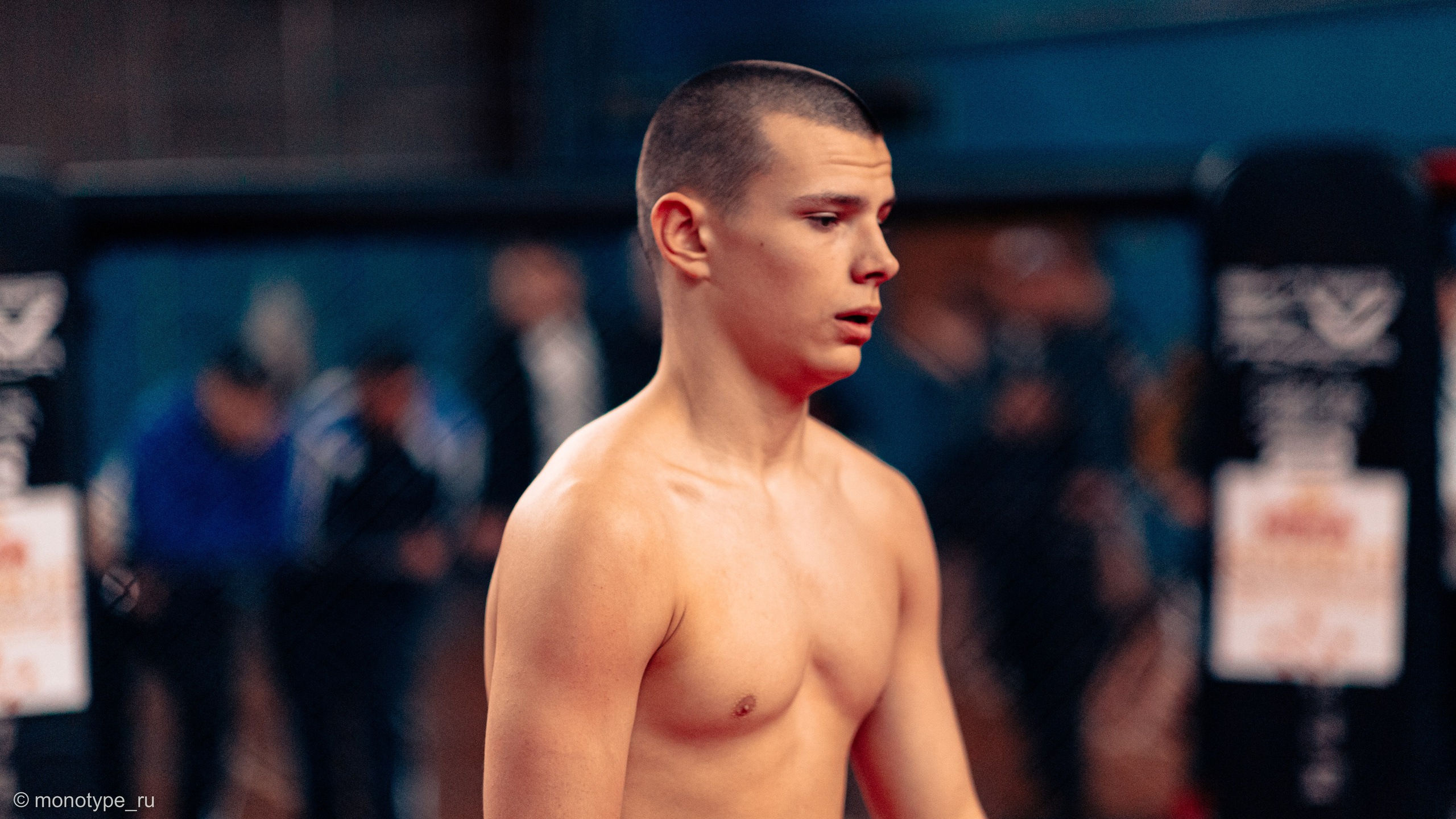 MMA. Бойцовский турнир