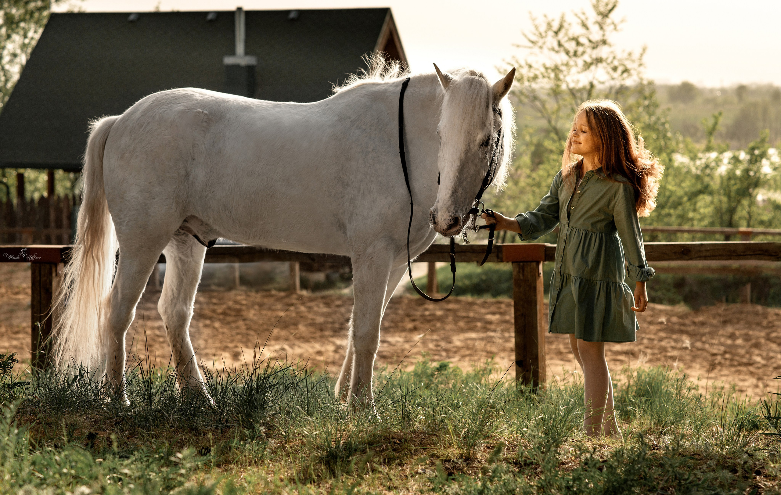 Каролина и Чингиз. Конный фотограф в Саратове Юлия Иванова