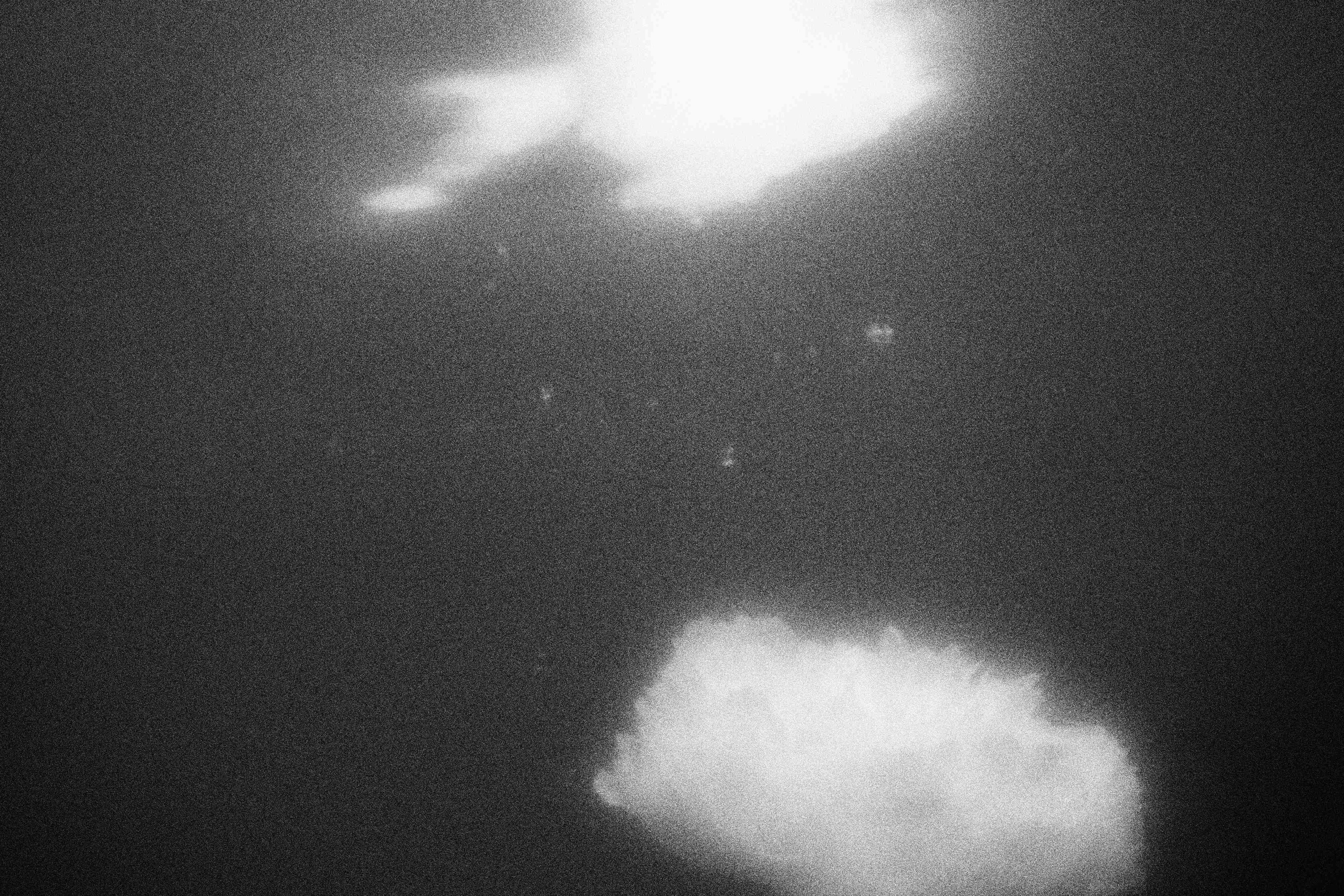 «Видеть. Чувствовать. Сохранять»