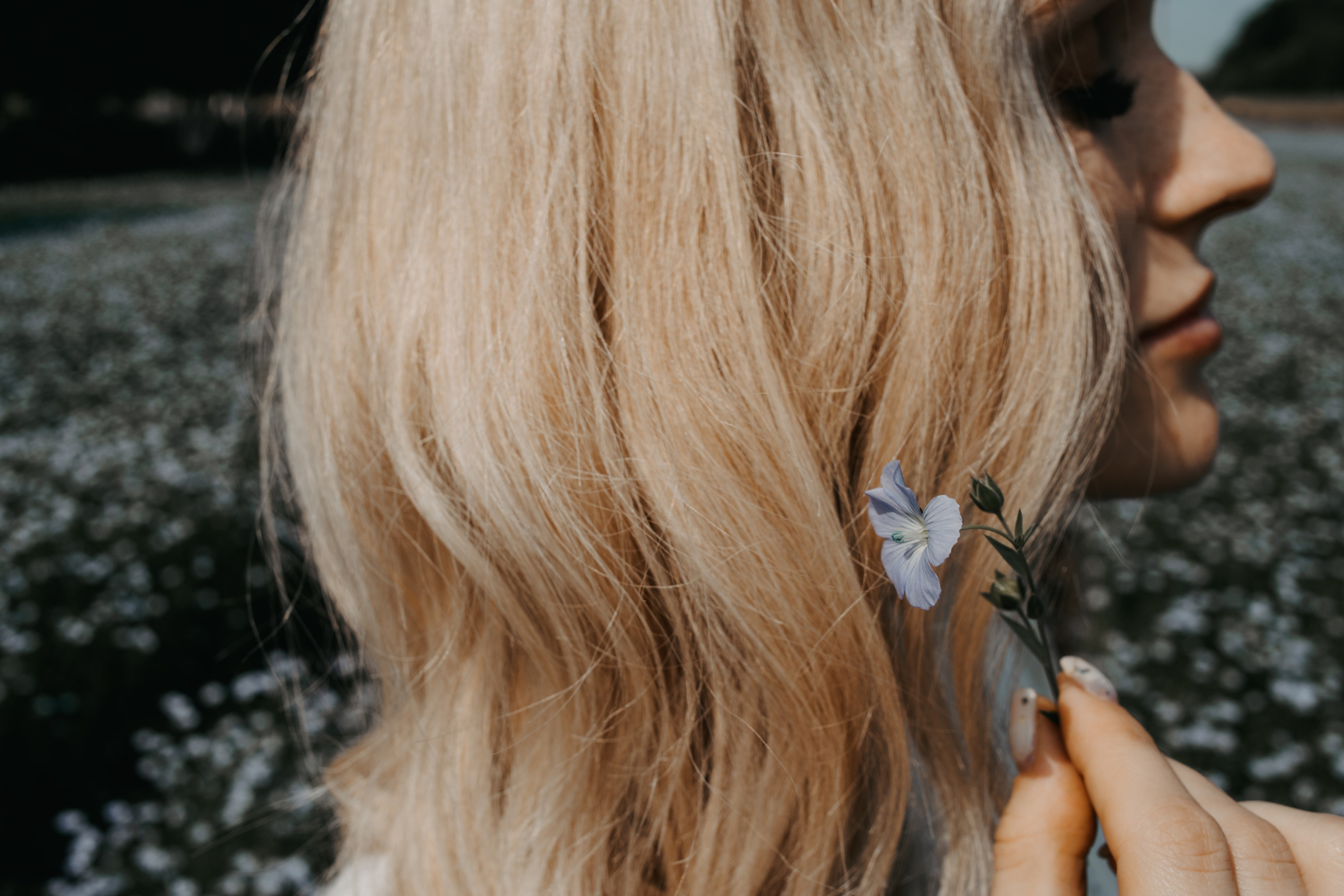 Фотосессия в поле льна. Свадебный и семейный фотограф в Краснодарском крае Мария Данилкина