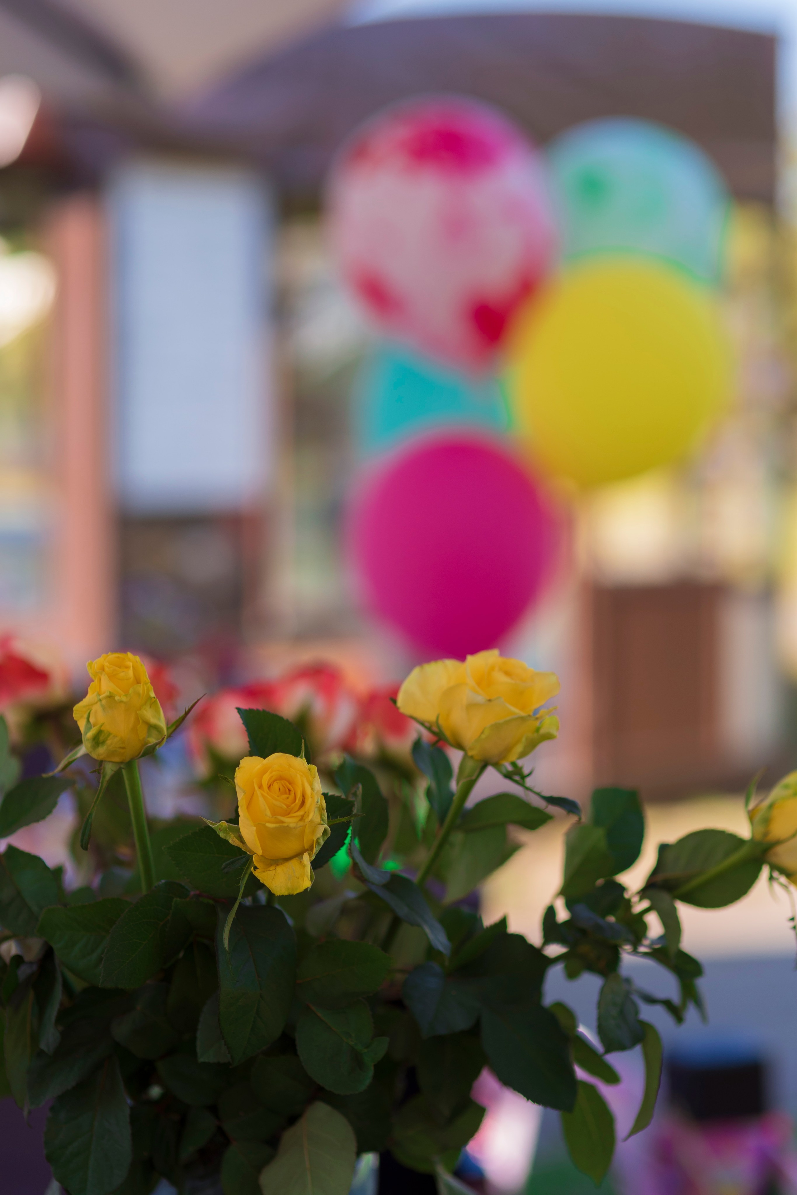 Александра 5 лет. Фотограф Крещения и Венчания. Минск и другие города. Почтенная Наташа