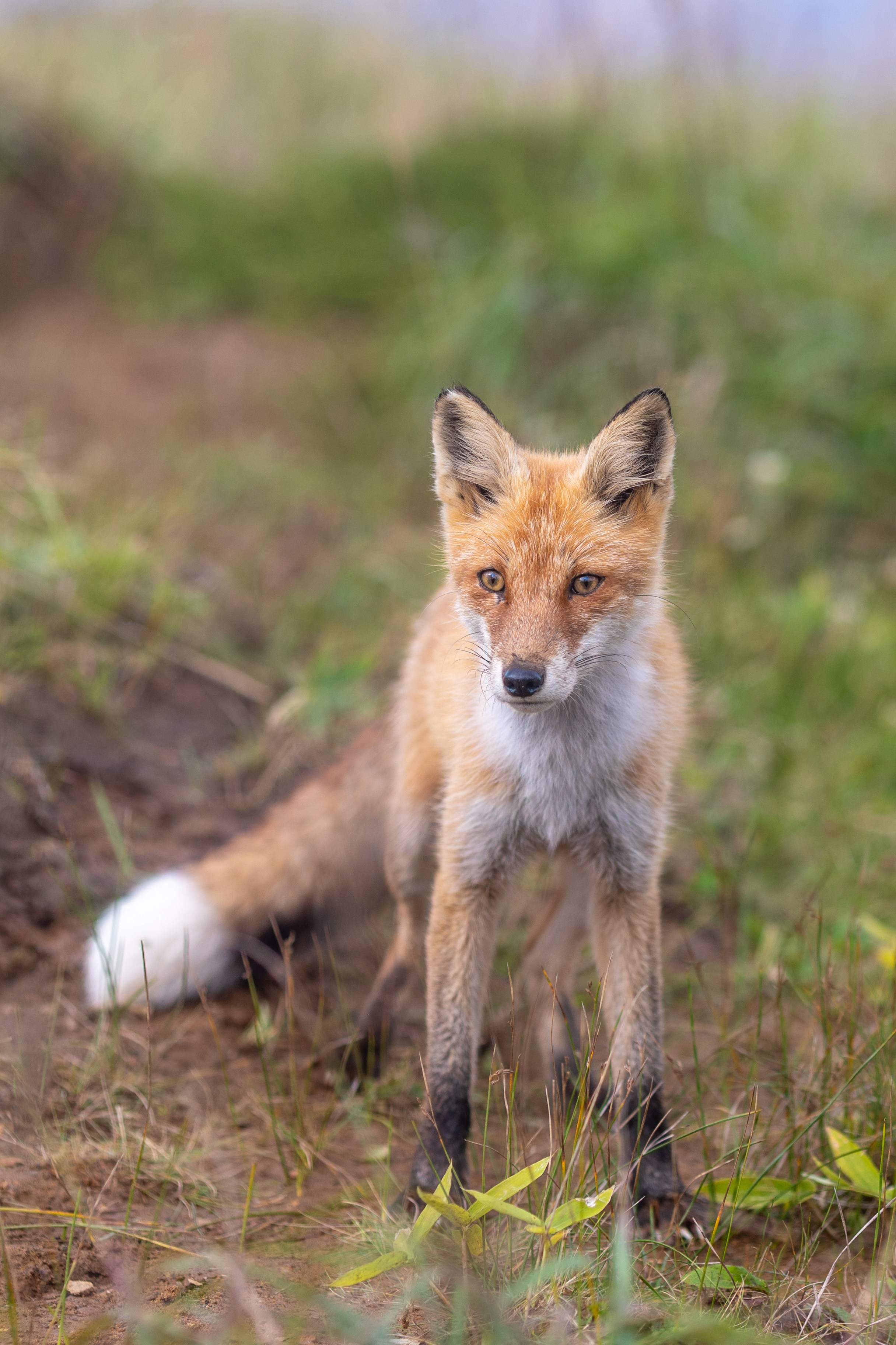 Шикотан. Тревел-фотограф Олег Гуров