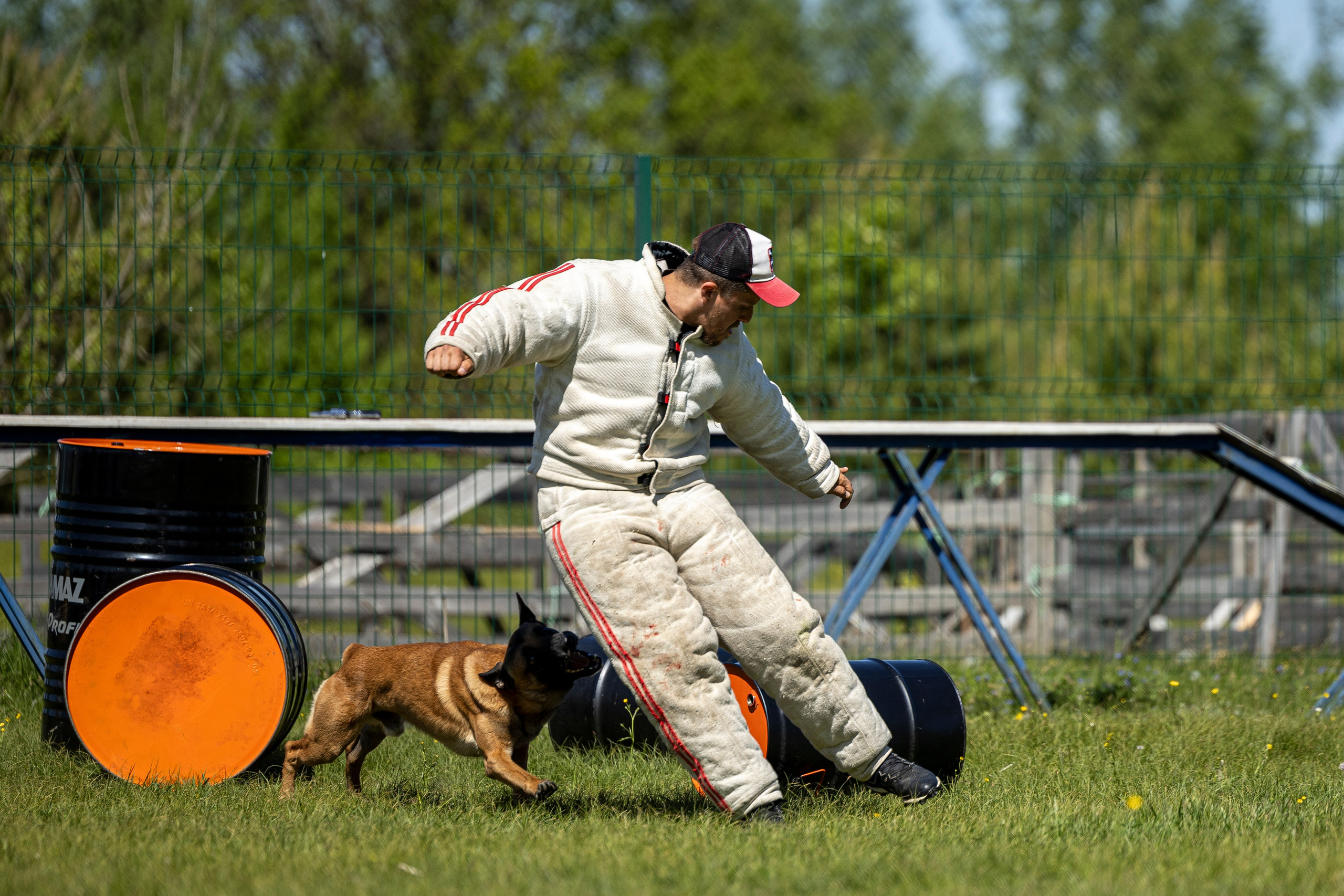 Испытания по мондьорингу в Нижнем Новгороде. Фотограф-анималист Анна Маринич