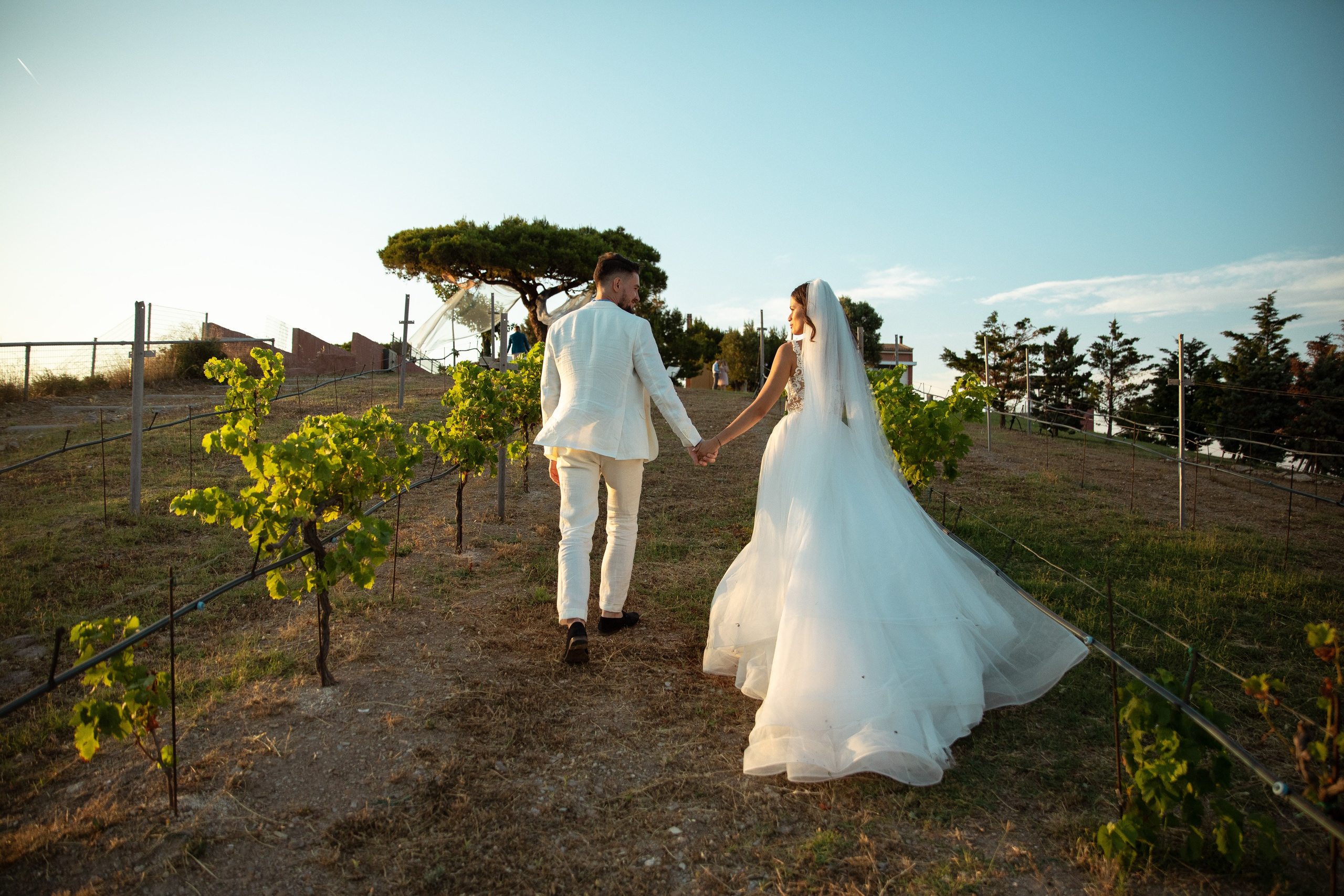 Максим & Ксения. Агентство по организации мероприятий