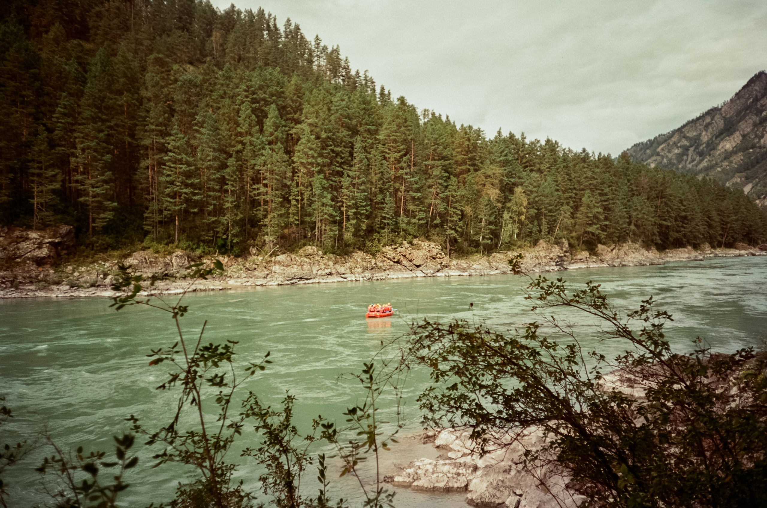 Село Черга в Верхах Алтая. Лошадки в Манжероке и панорамы Катуни. Фотограф-документалист Мария Осокина