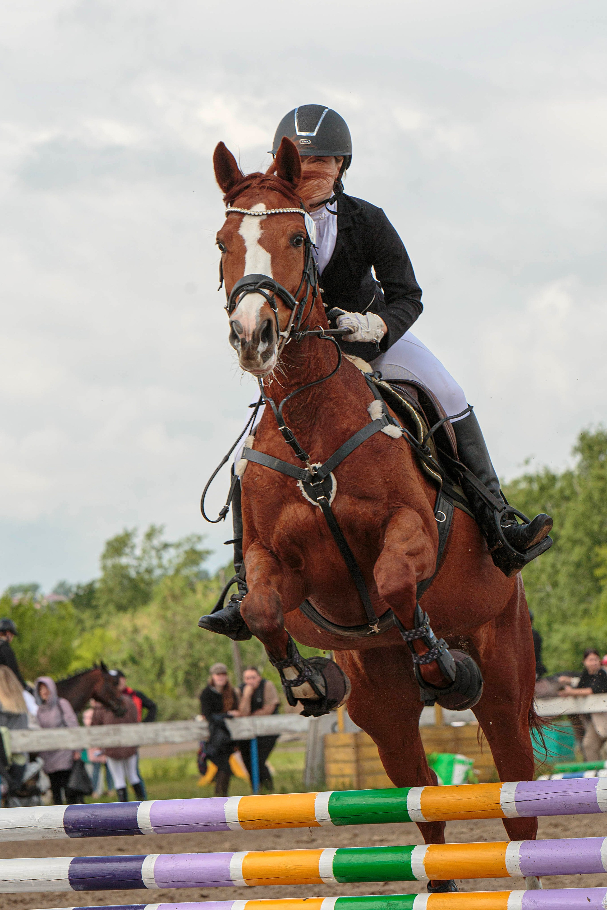 2024. Конный фотограф в Красноярске — Любовь Похабова
